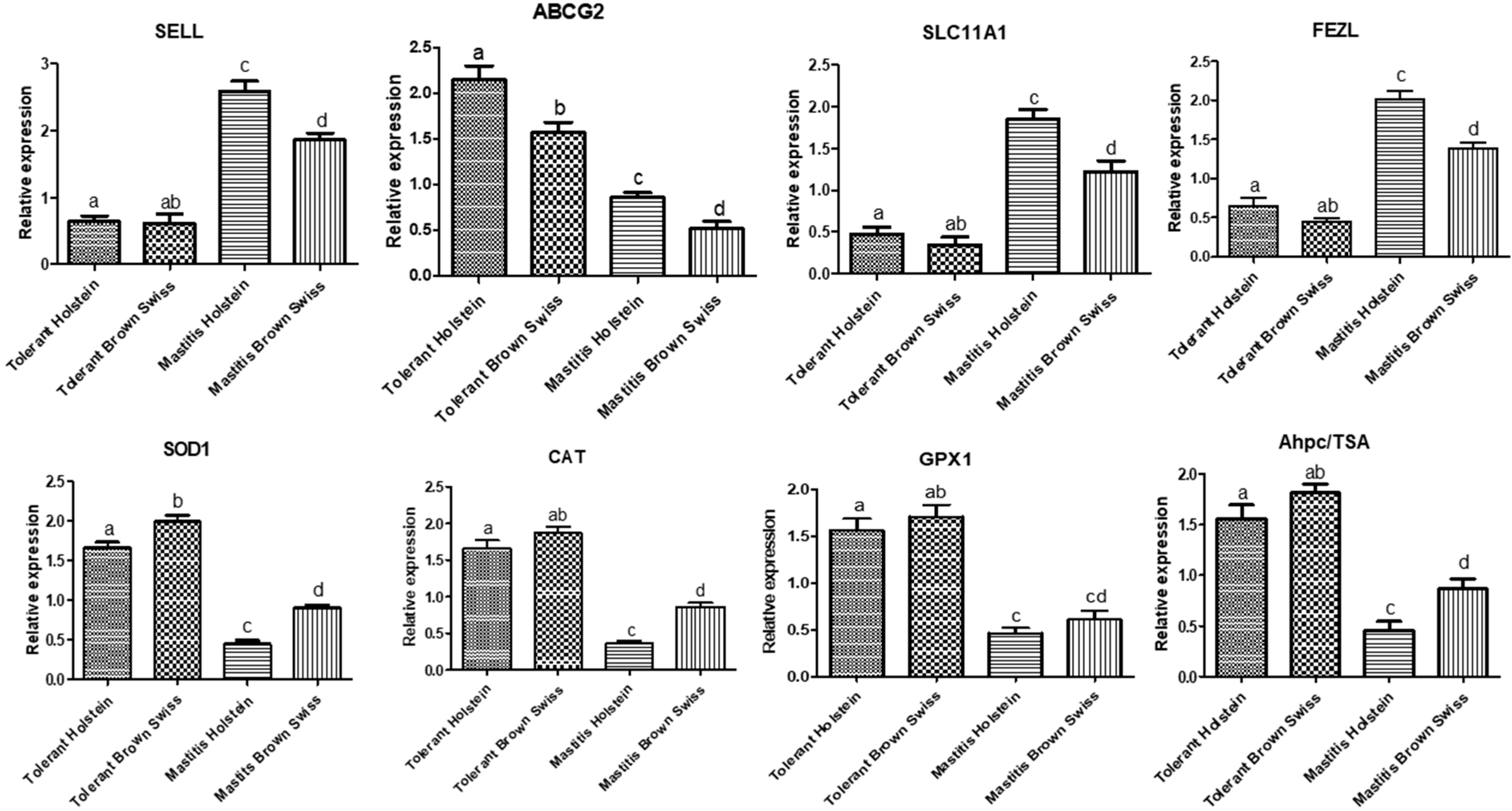 Vetsci 09 00294 g001