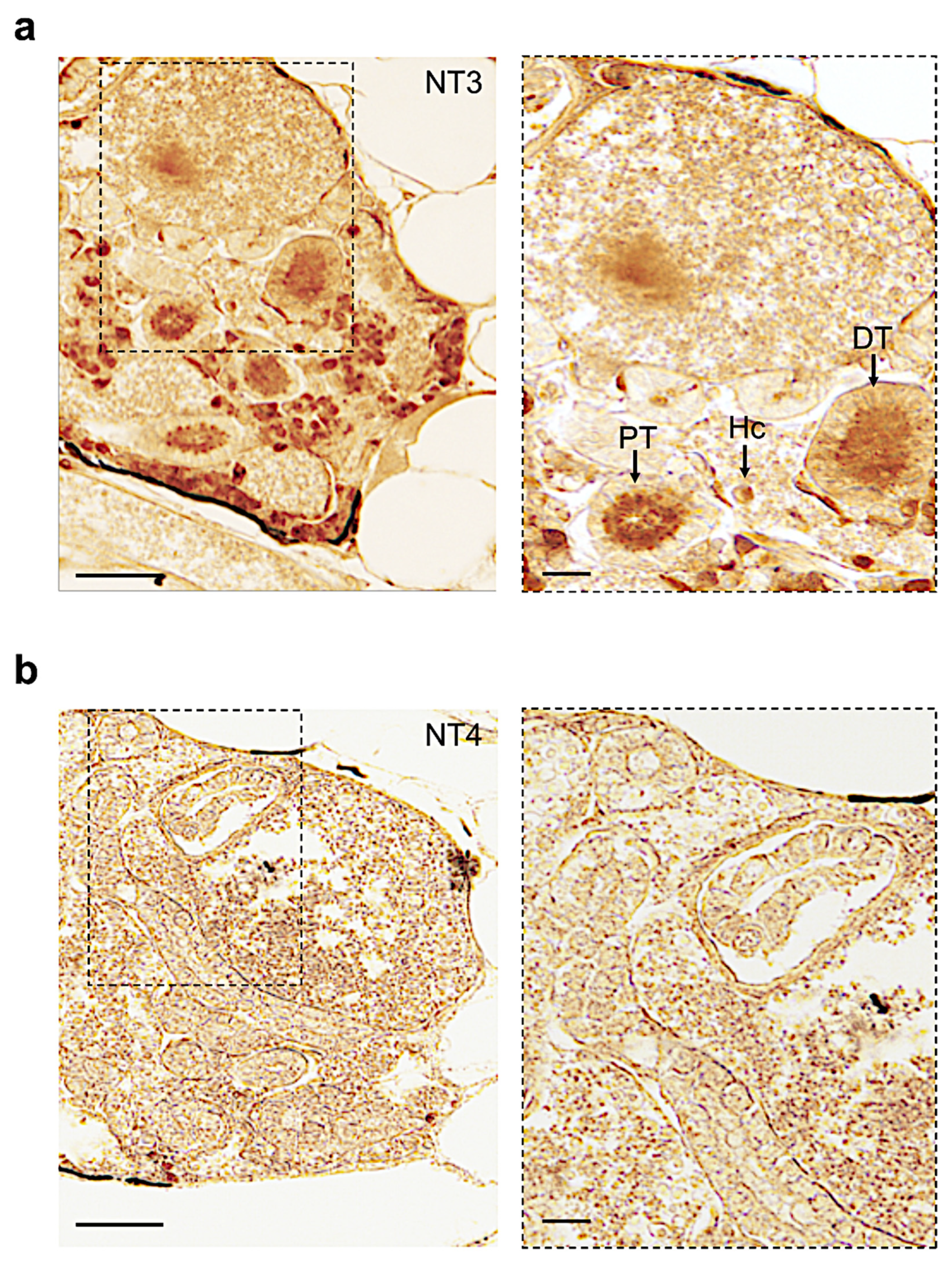 Vetsci 09 00296 g007