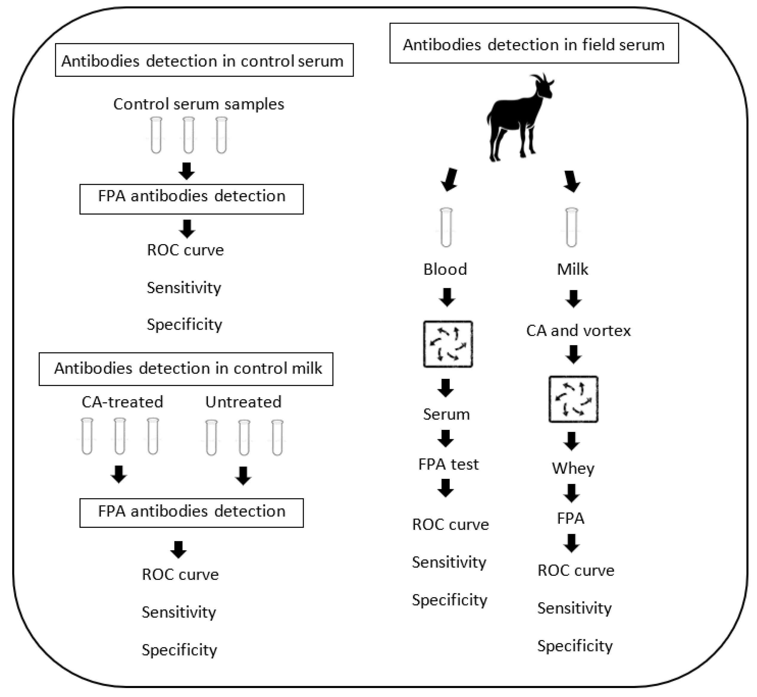 Vetsci 09 00303 g001