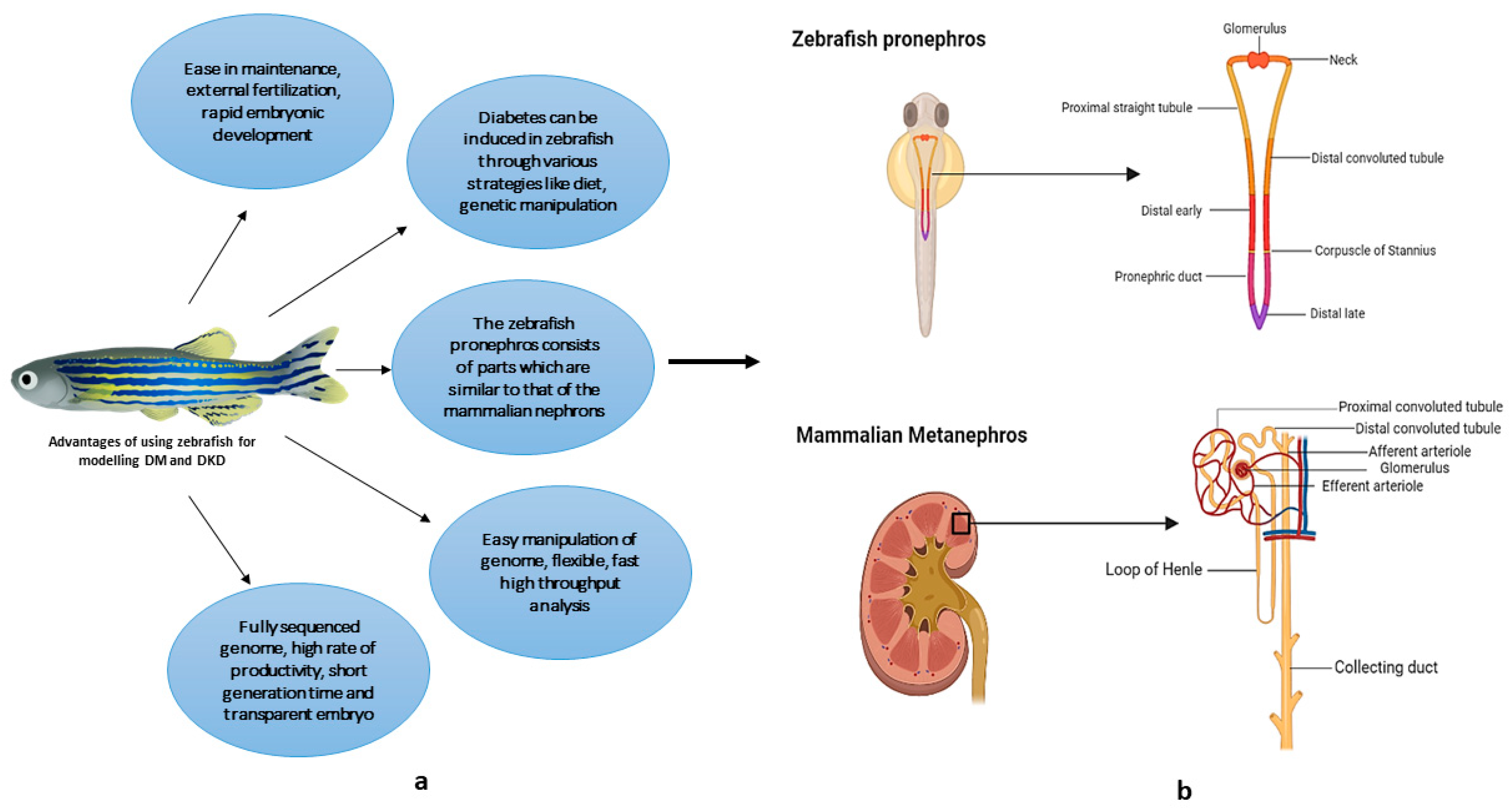 Vetsci 09 00312 g001 550