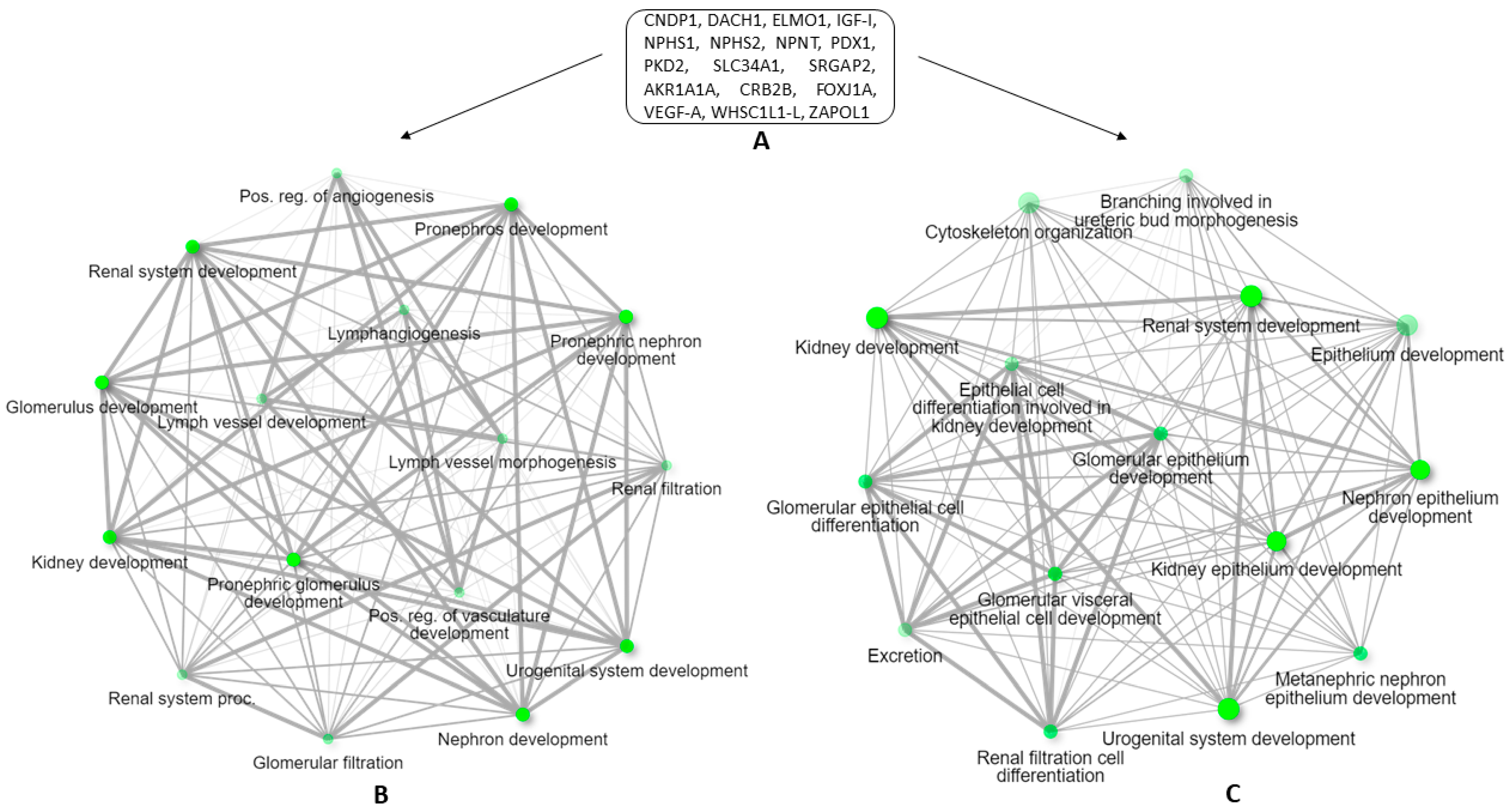 Vetsci 09 00312 g002 550