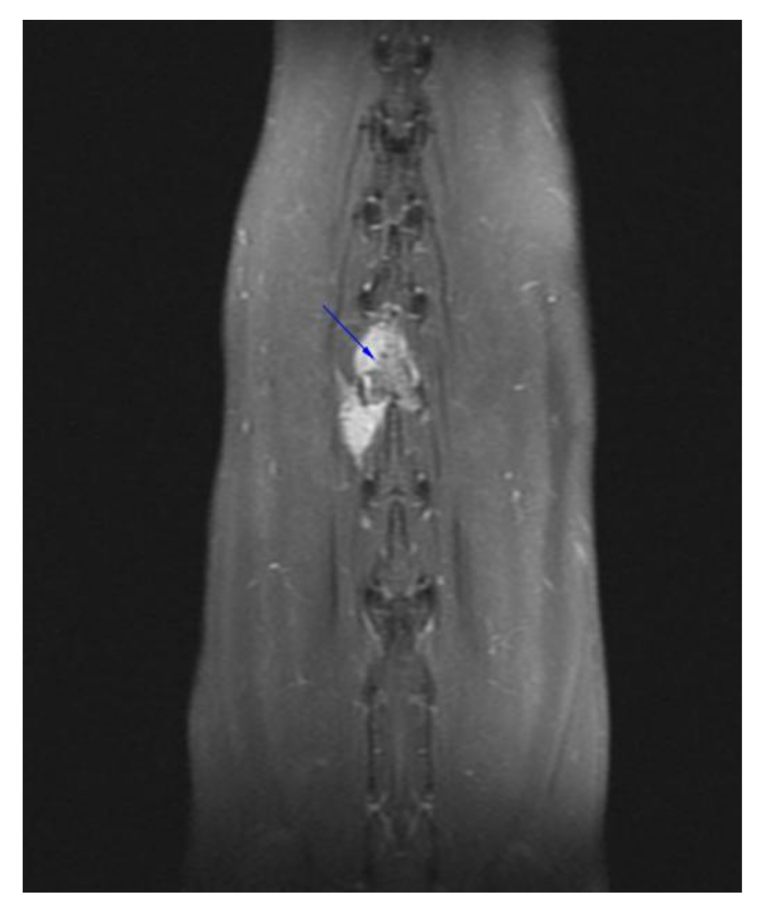 Vetsci 09 00315 g003 550
