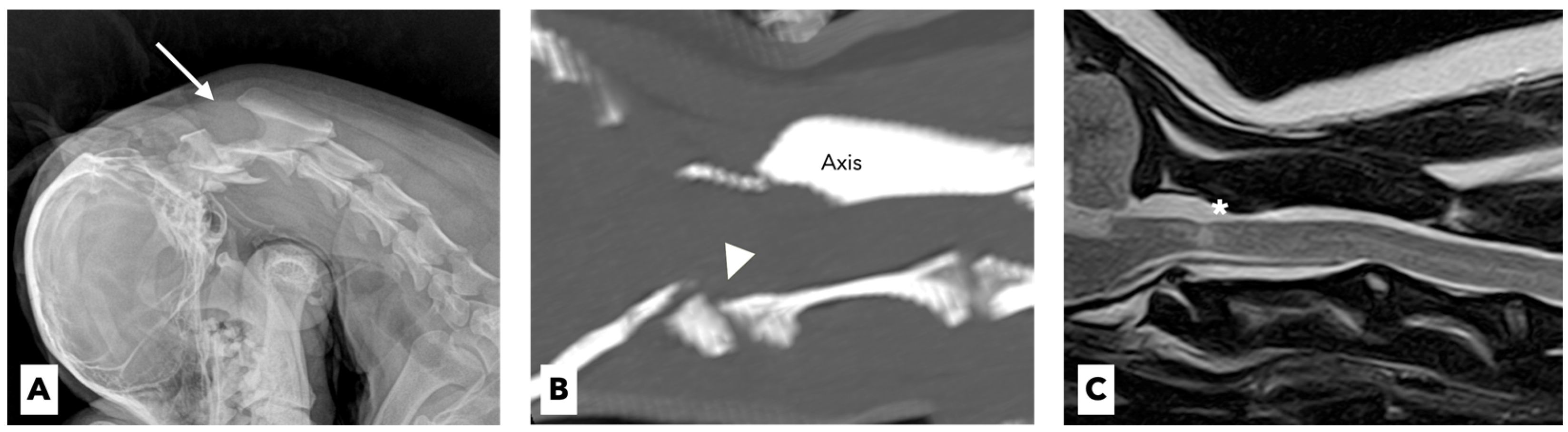 Vetsci 09 00322 g001 550