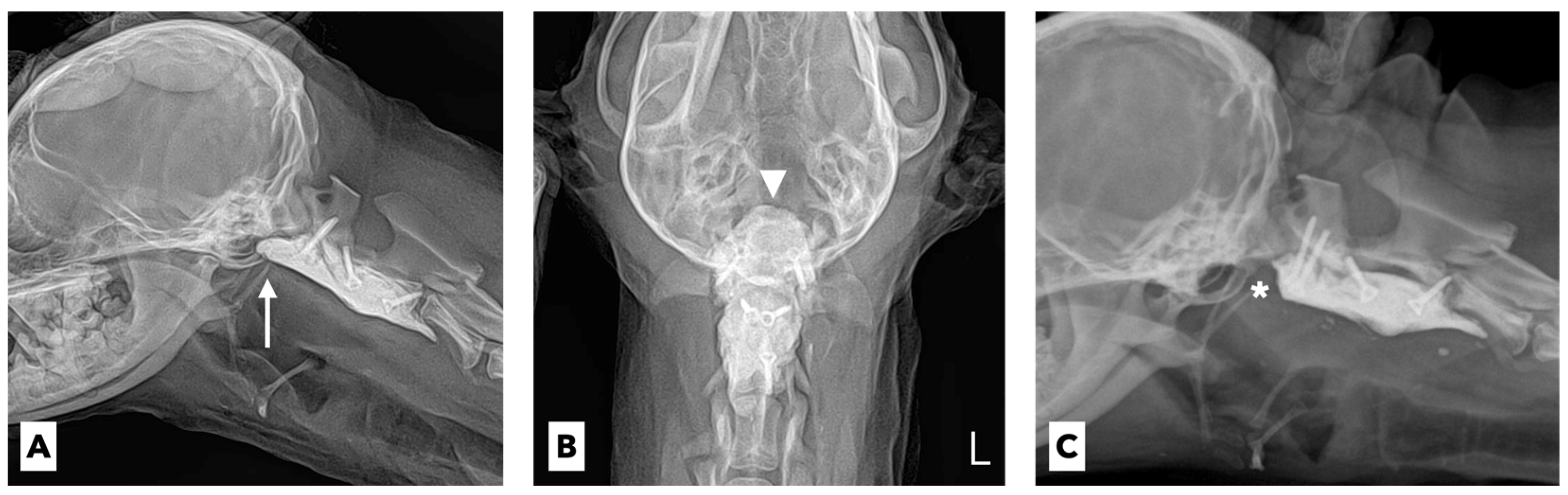 Vetsci 09 00322 g003 550