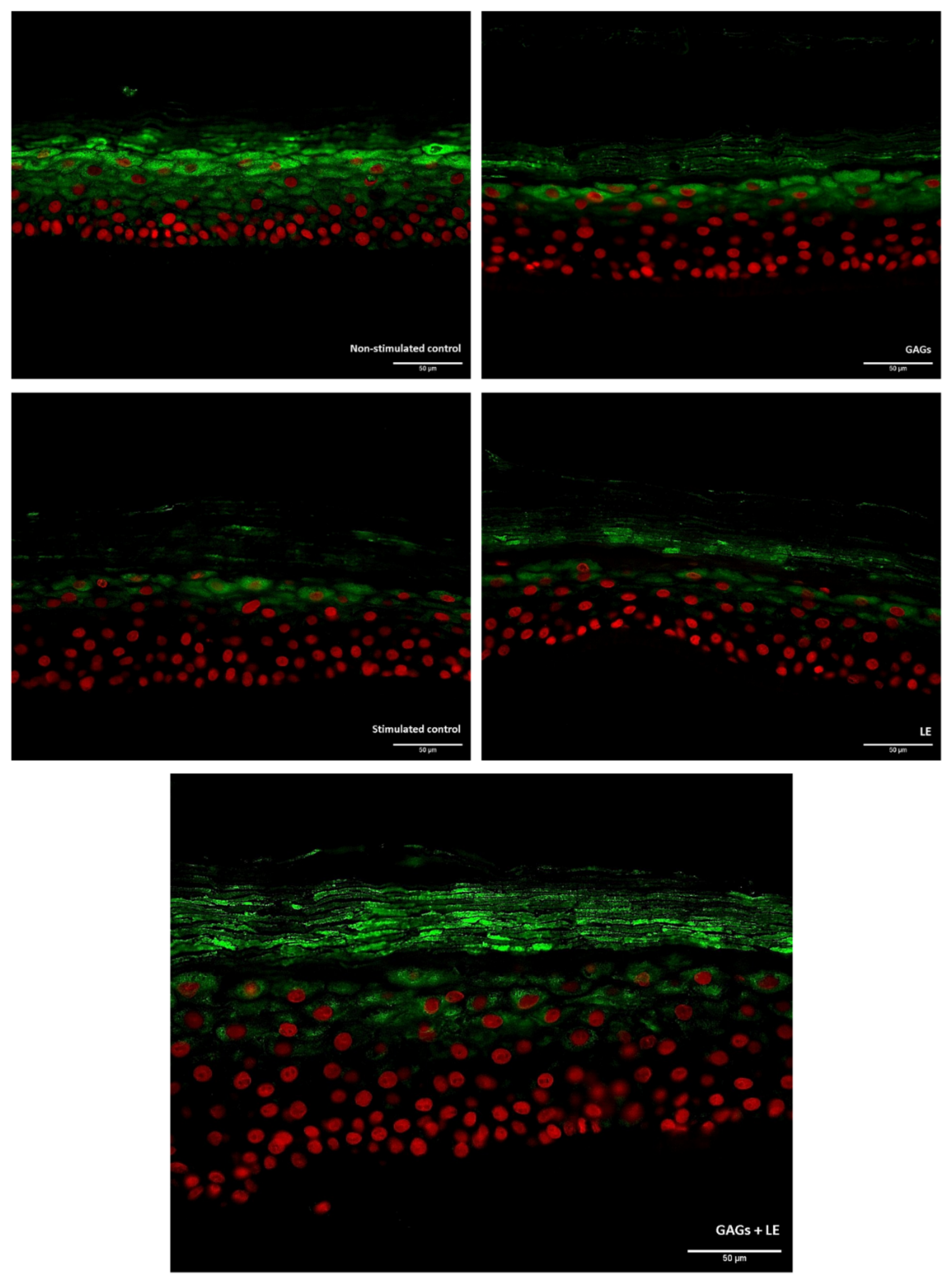Vetsci 09 00323 g003 Vetsci 09 00323 g003