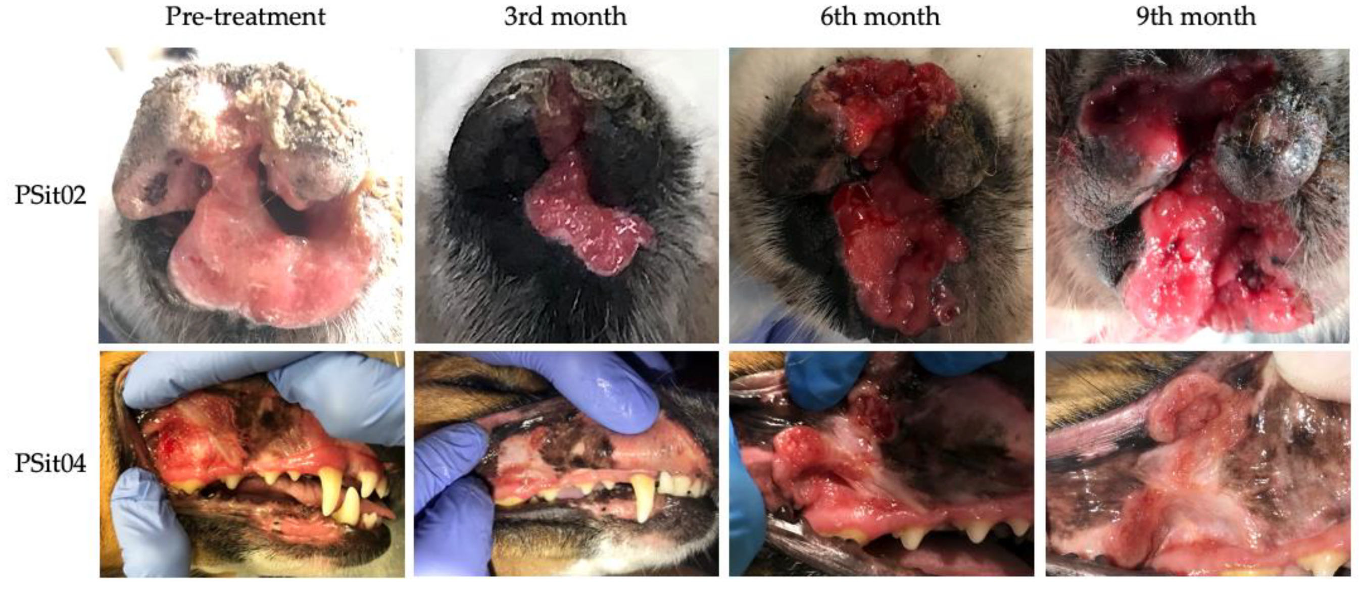 Vetsci 09 00327 g003 550