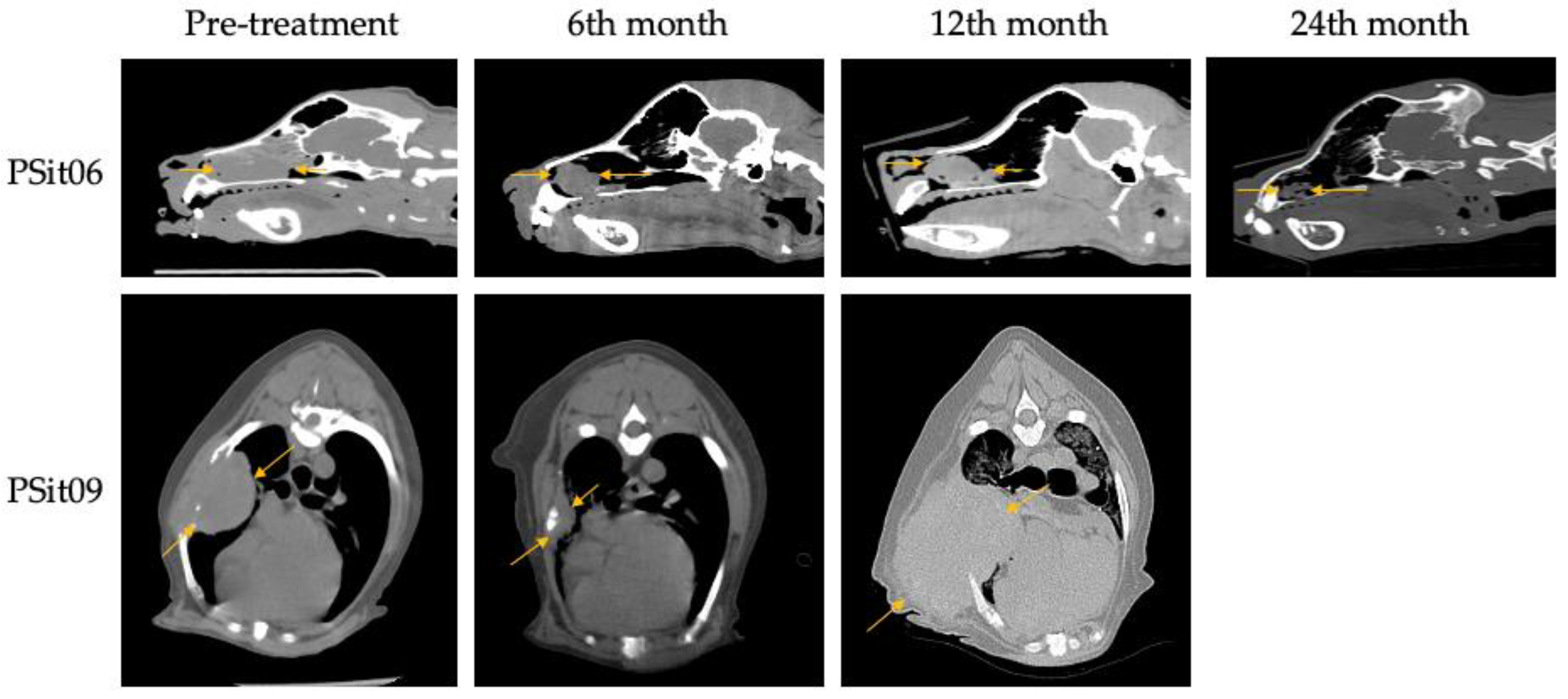 Vetsci 09 00327 g004 550