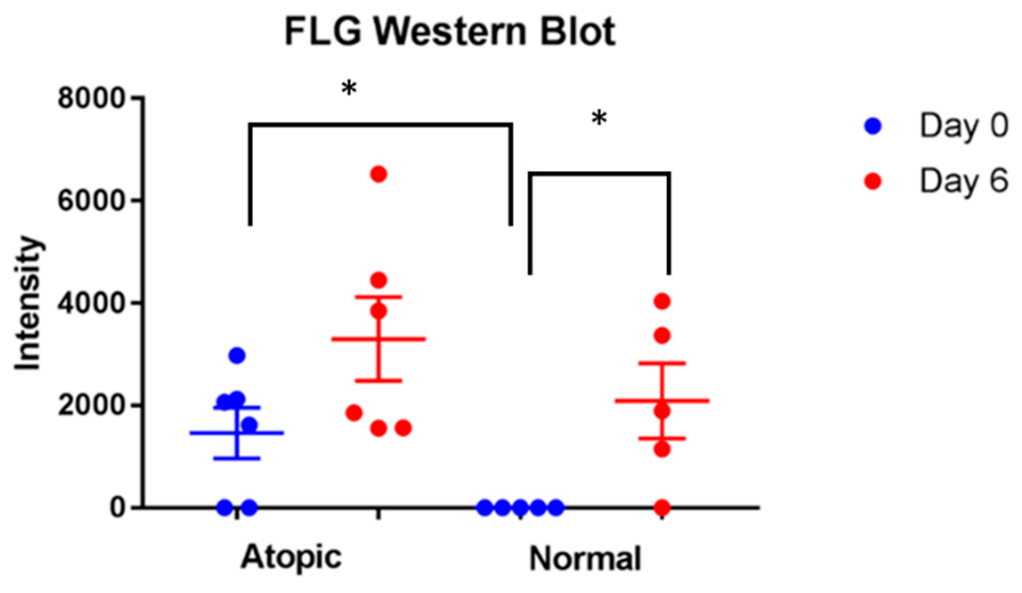 Vetsci 09 00329 g008