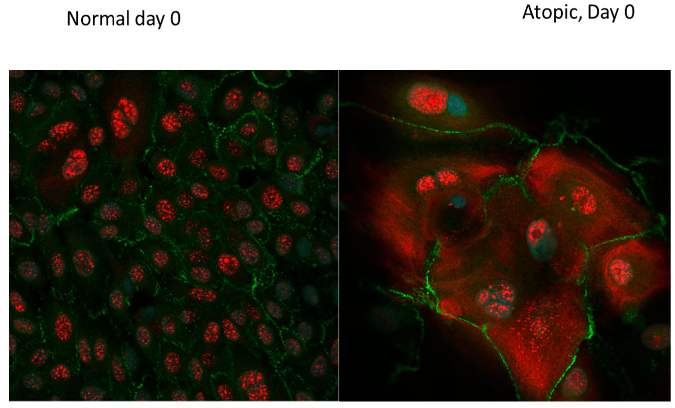 Vetsci 09 00329 g011