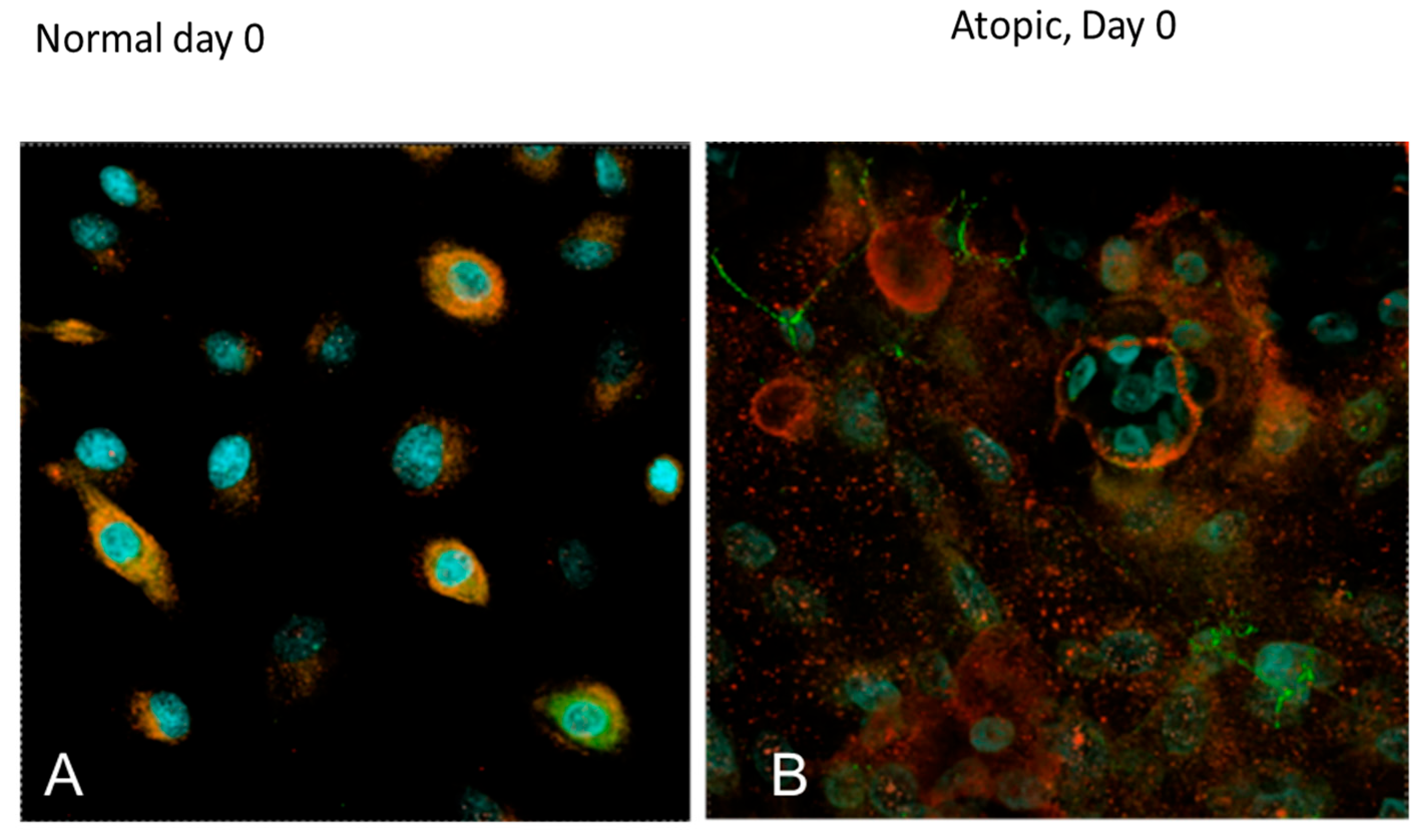 Vetsci 09 00329 g013