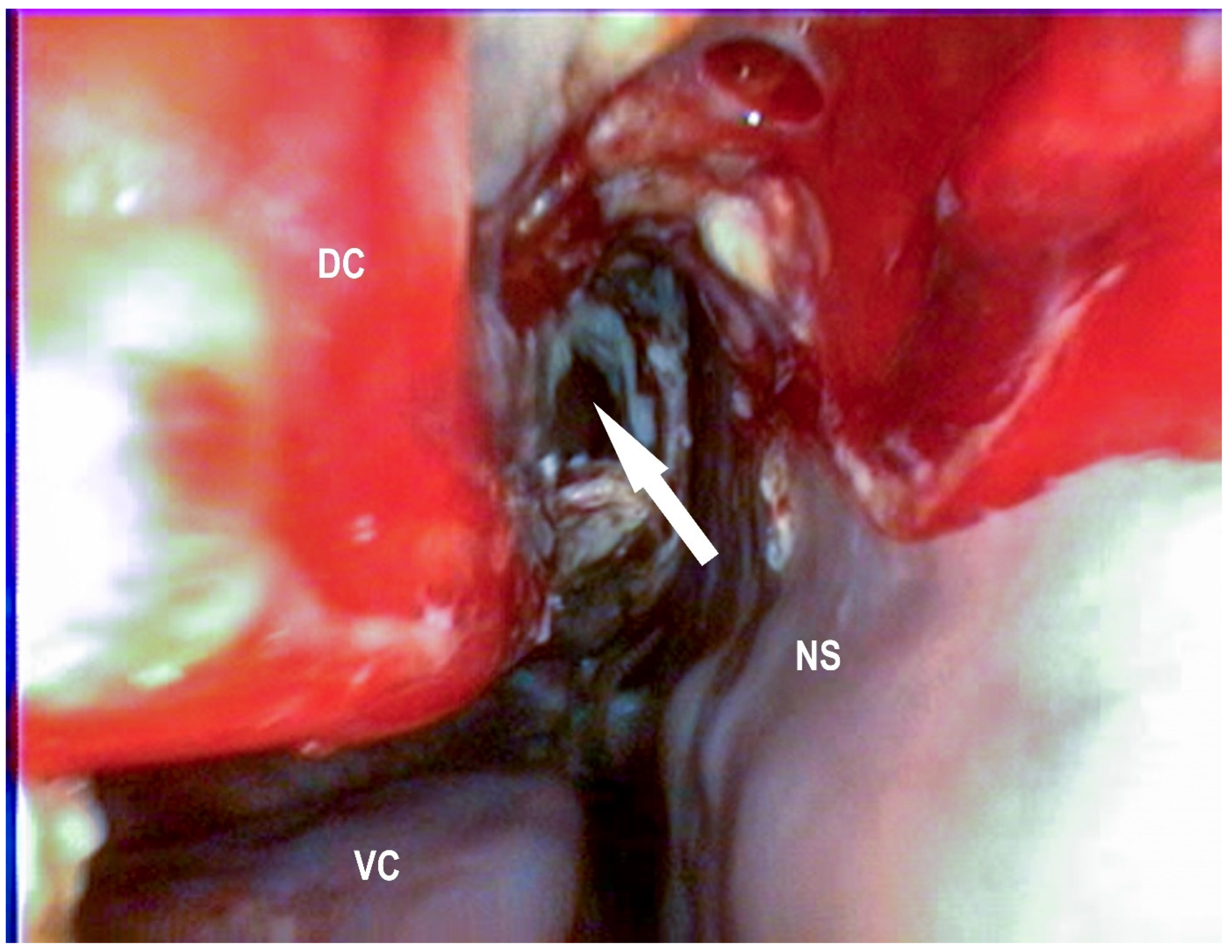 Vetsci 09 00334 g004