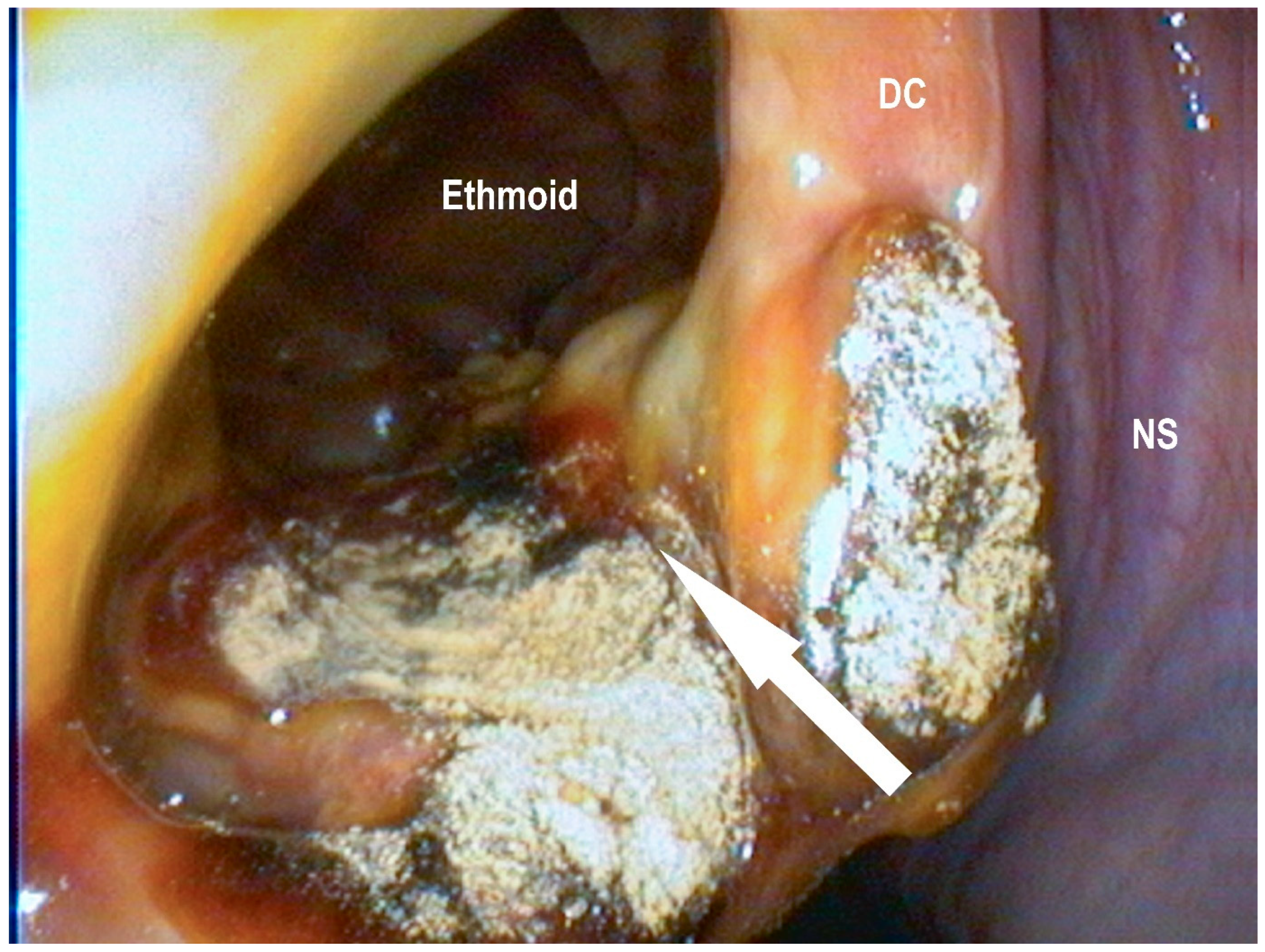 Vetsci 09 00334 g005