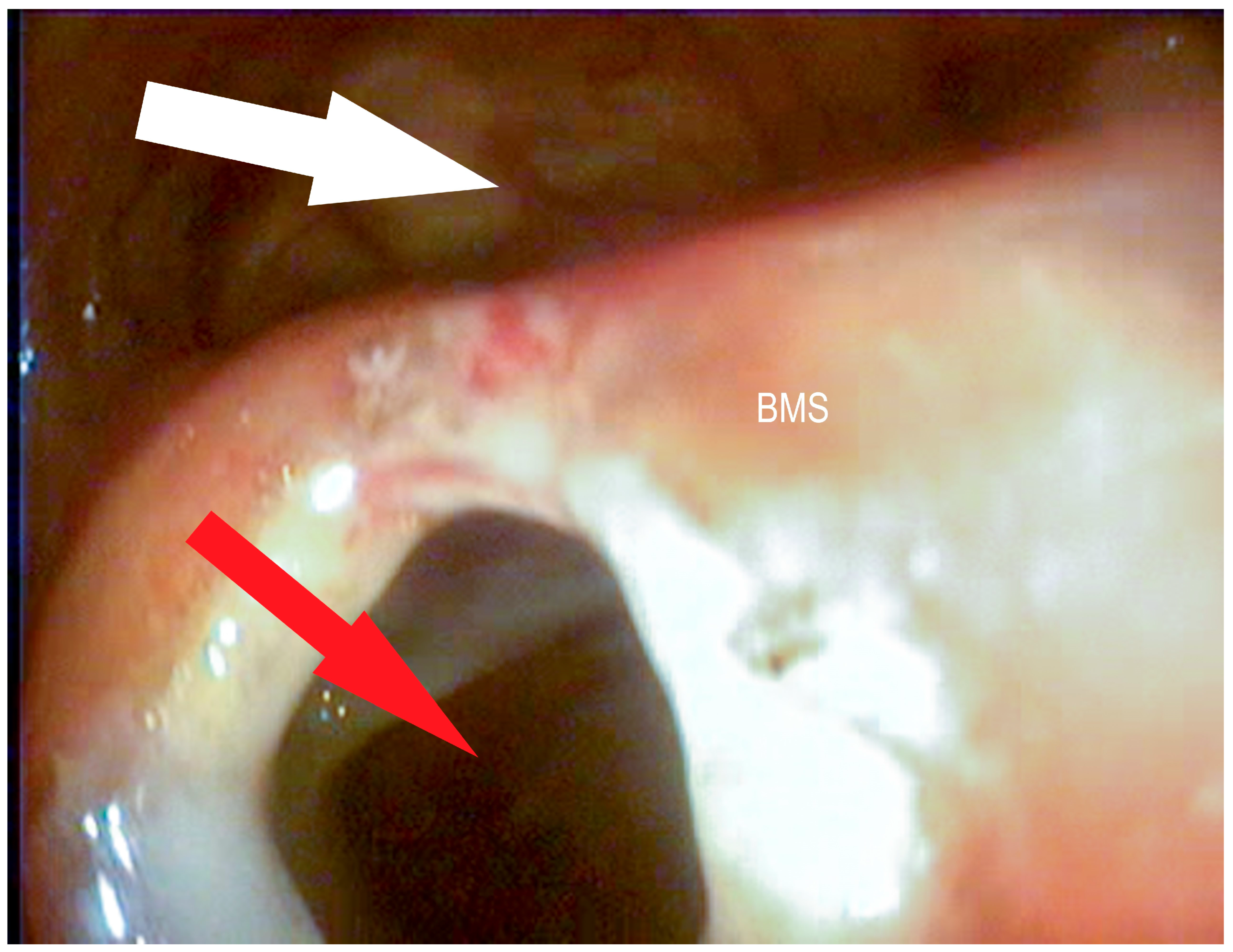 Vetsci 09 00334 g007