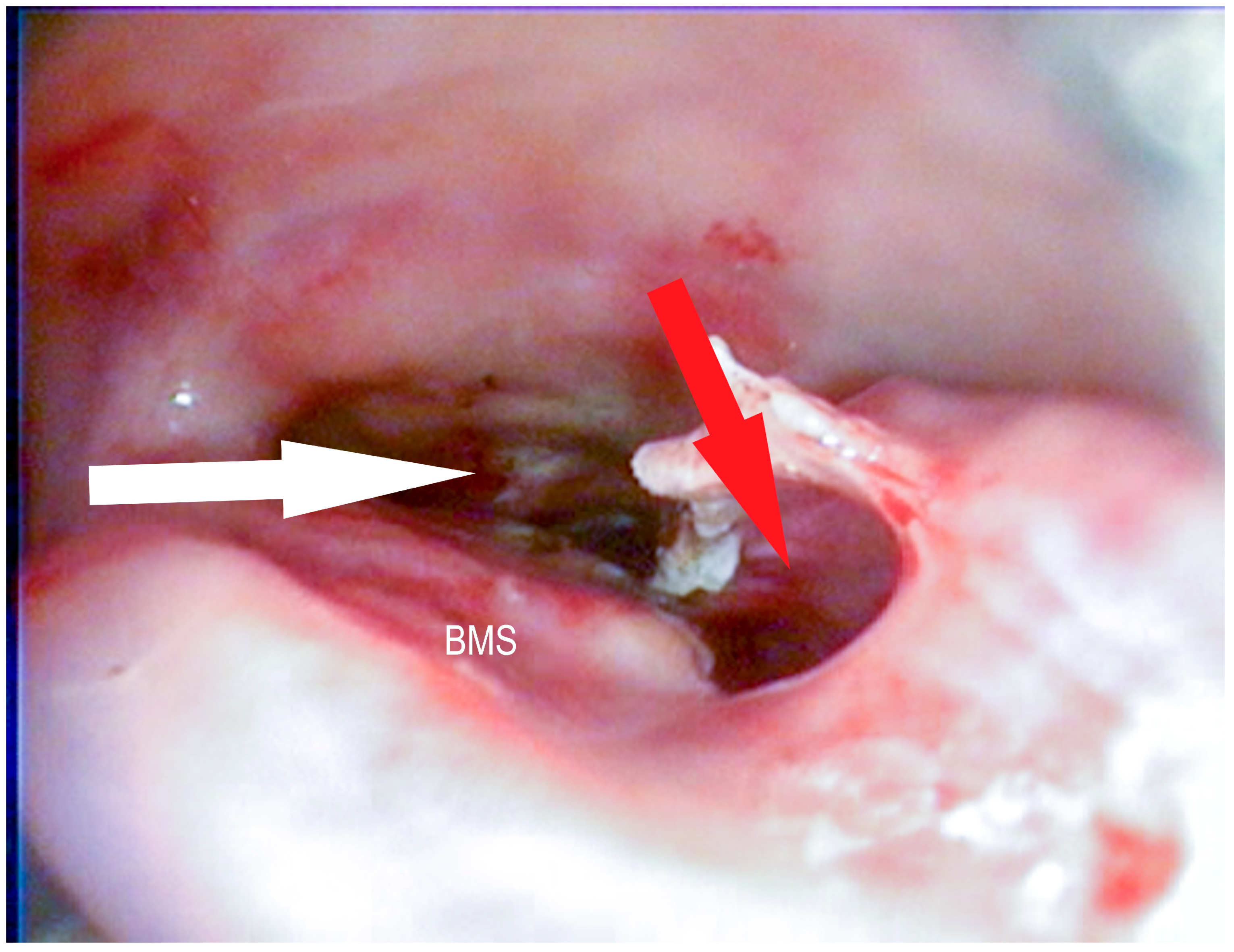 Vetsci 09 00334 g008