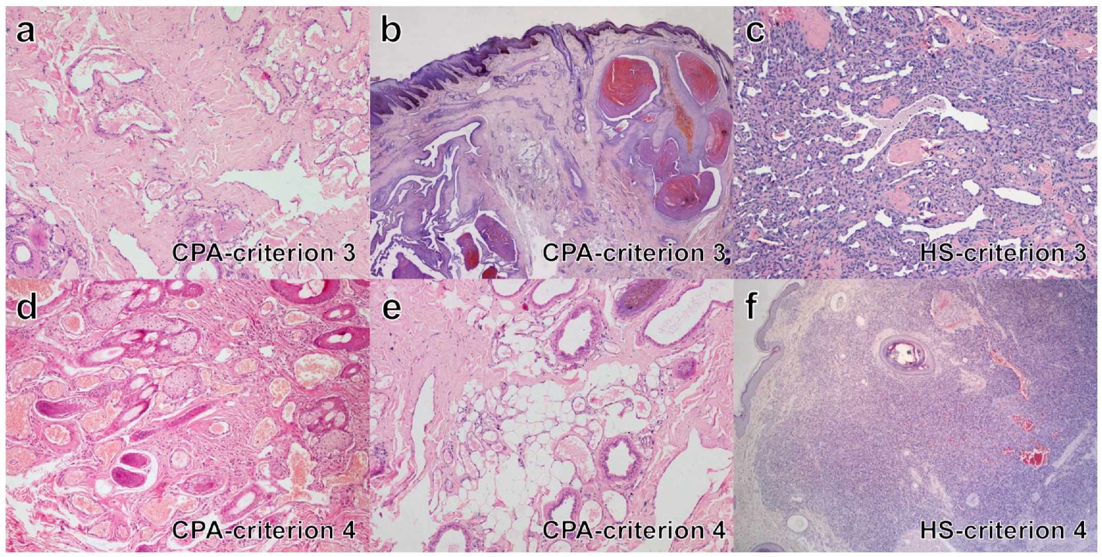 Vetsci 09 00340 g002