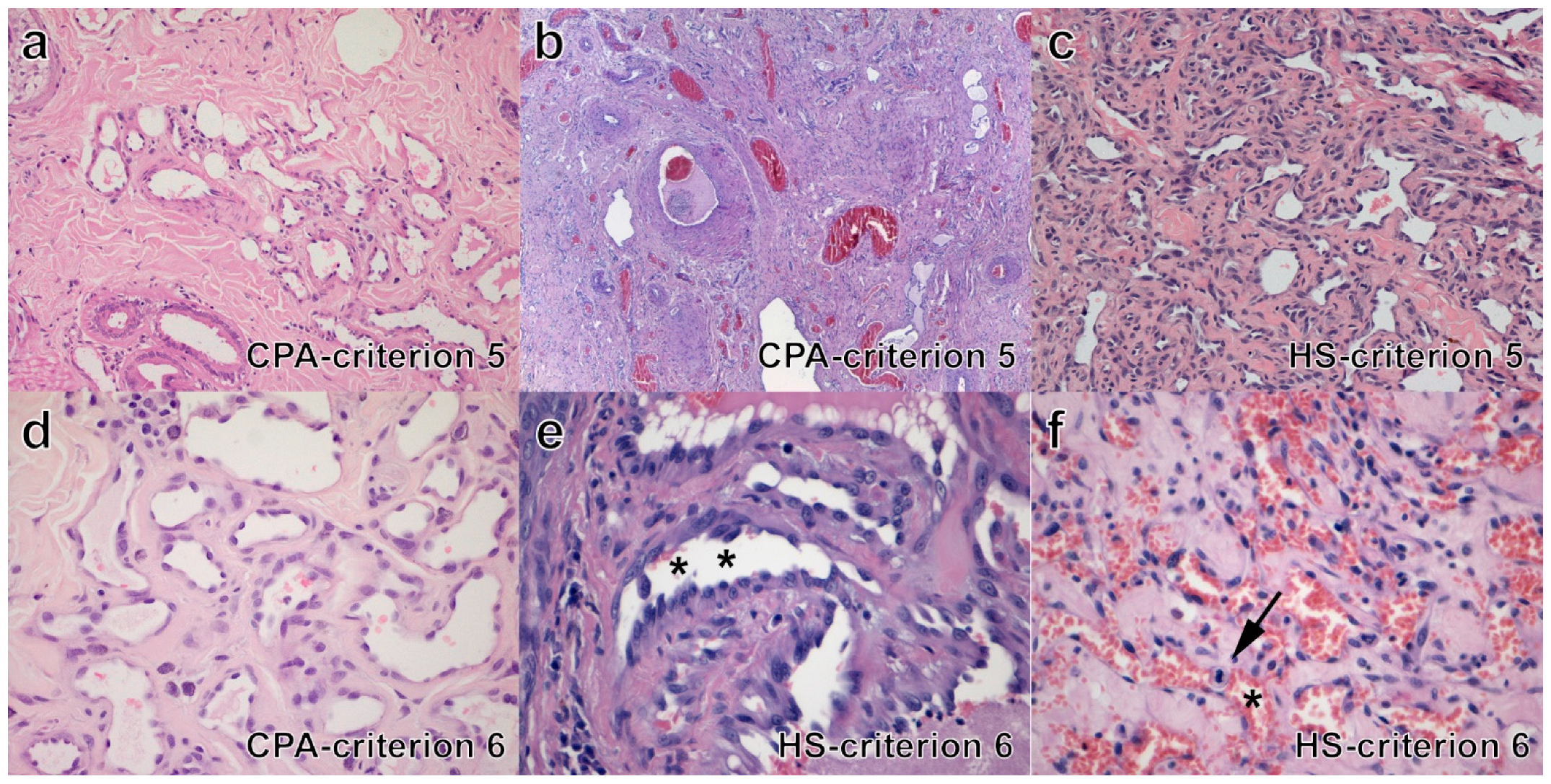 Vetsci 09 00340 g003