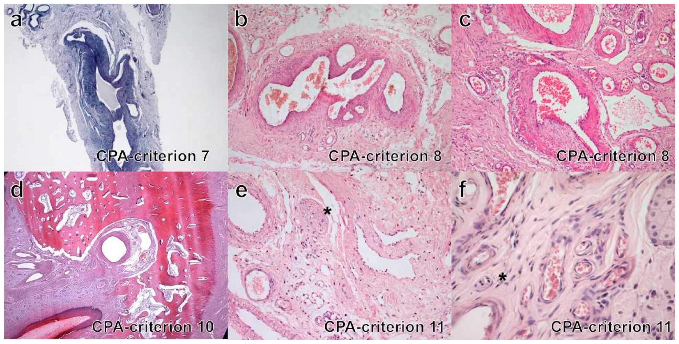 Vetsci 09 00340 g004