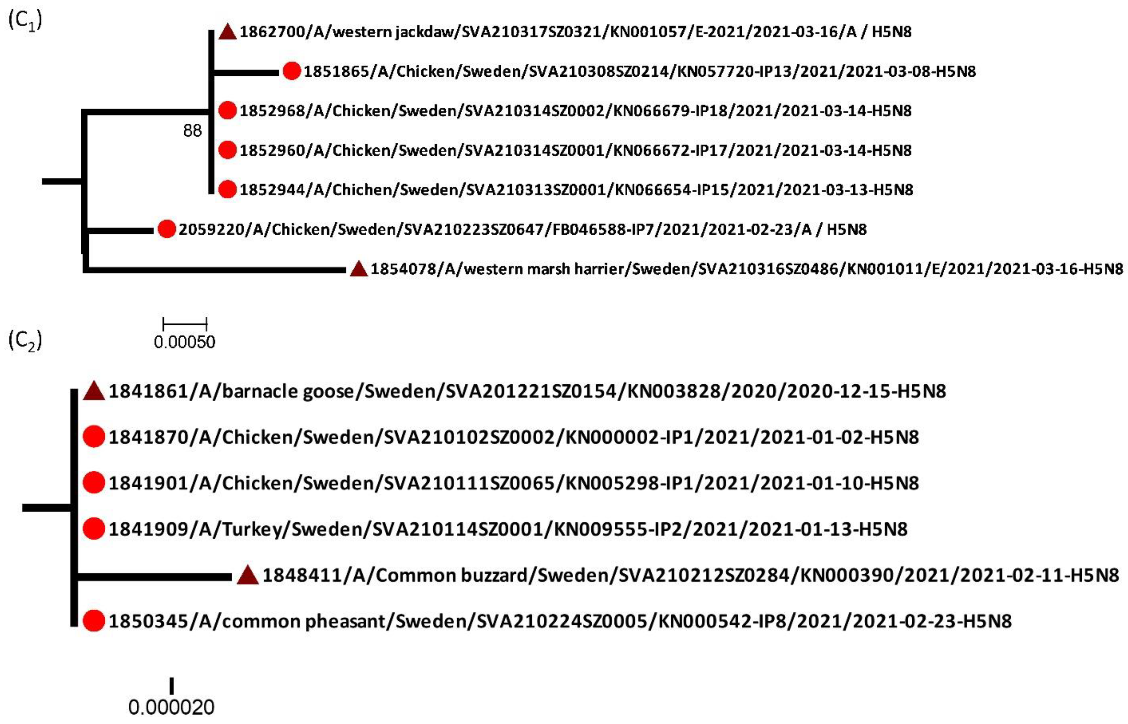 Vetsci 09 00344 g005b