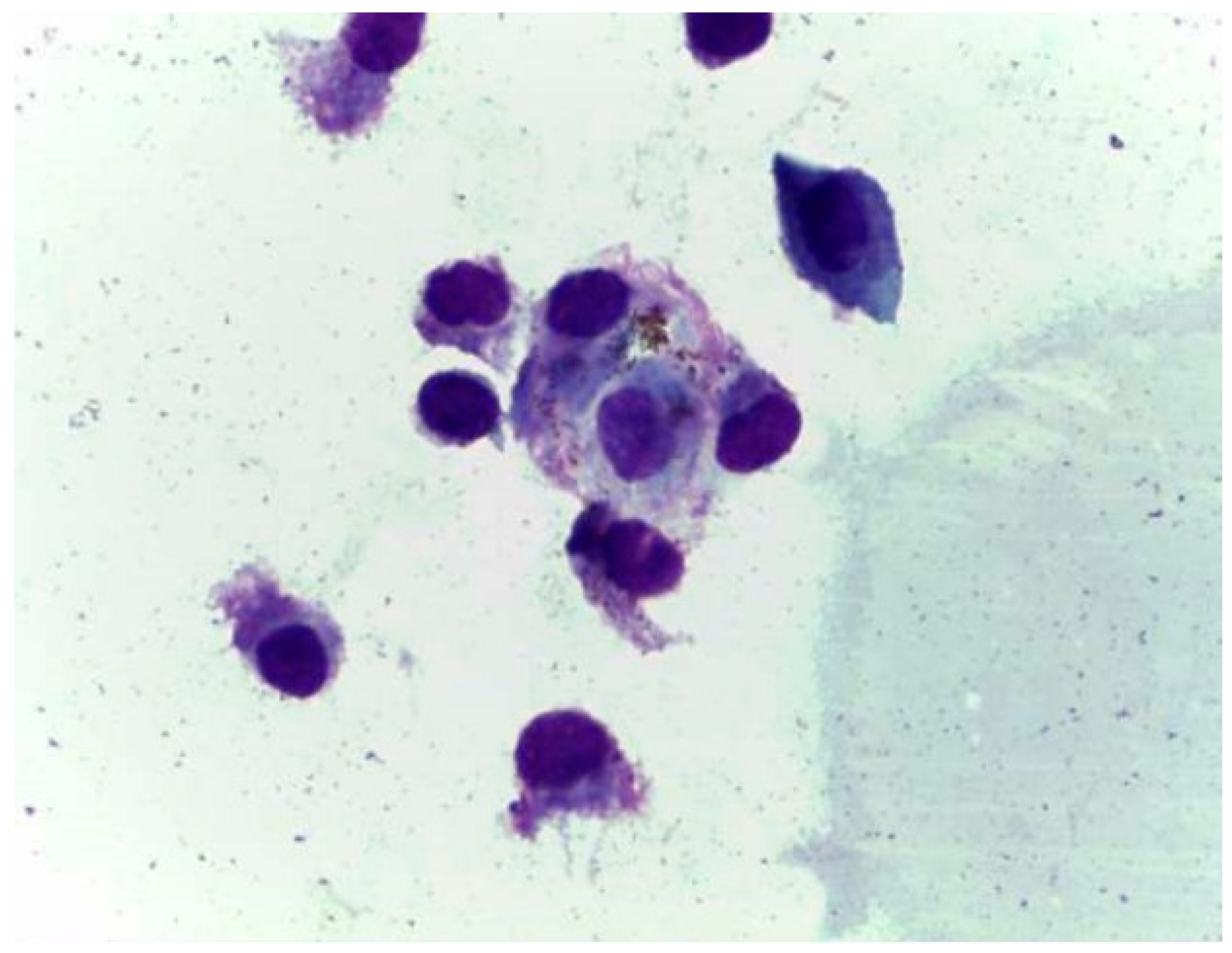 Vetsci 09 00346 g003