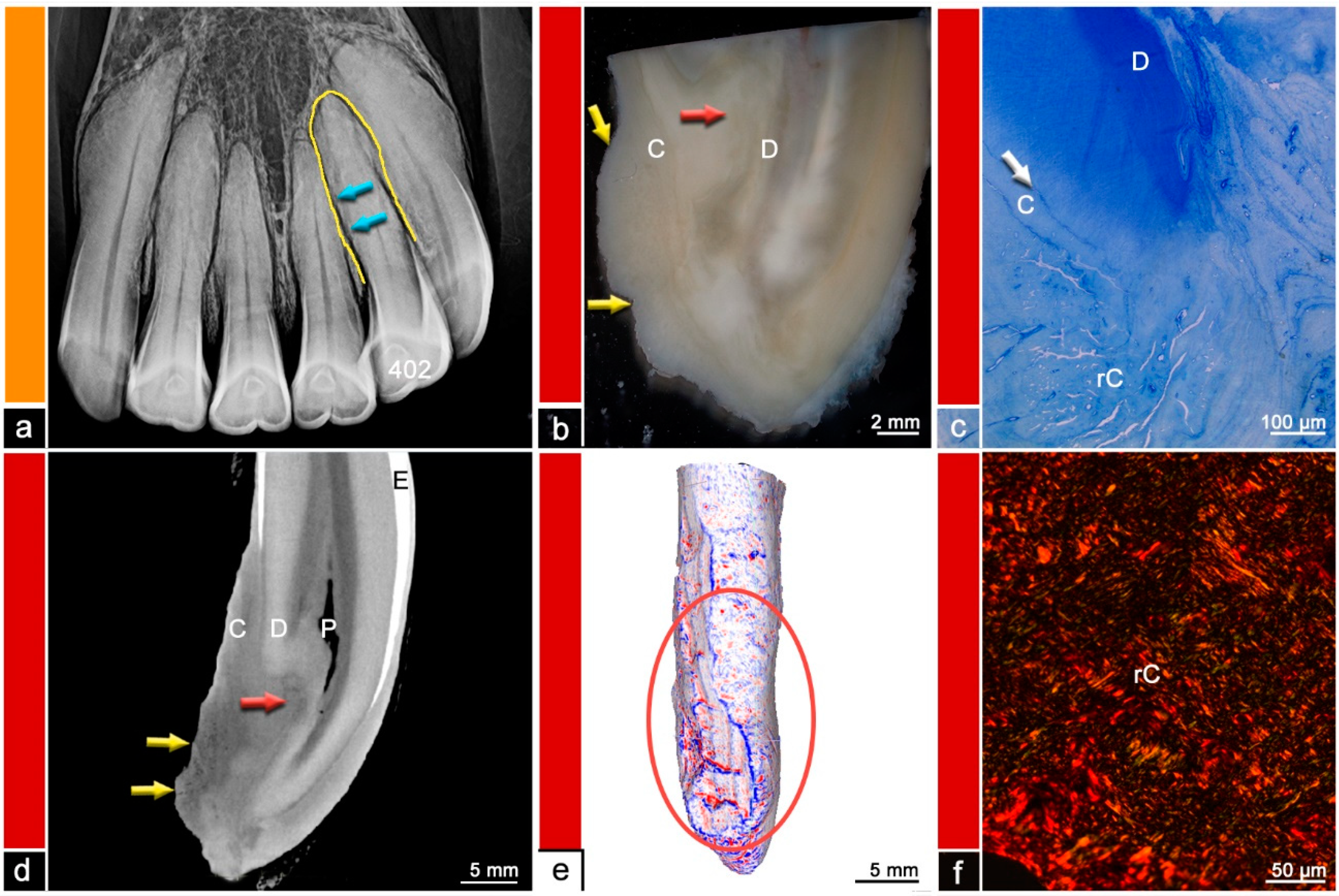 Vetsci 09 00348 g007 550