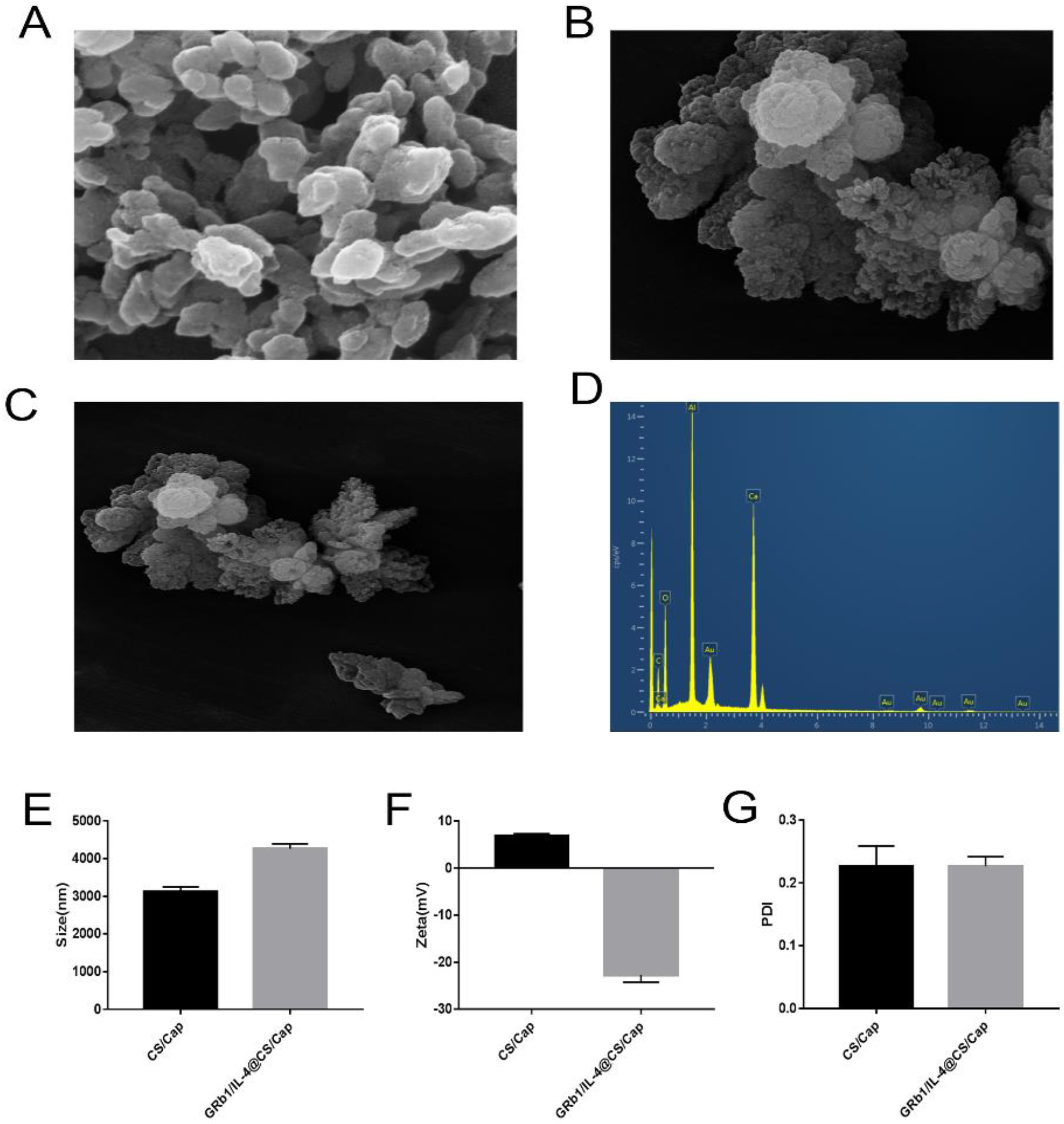 Vetsci 09 00355 g001 550