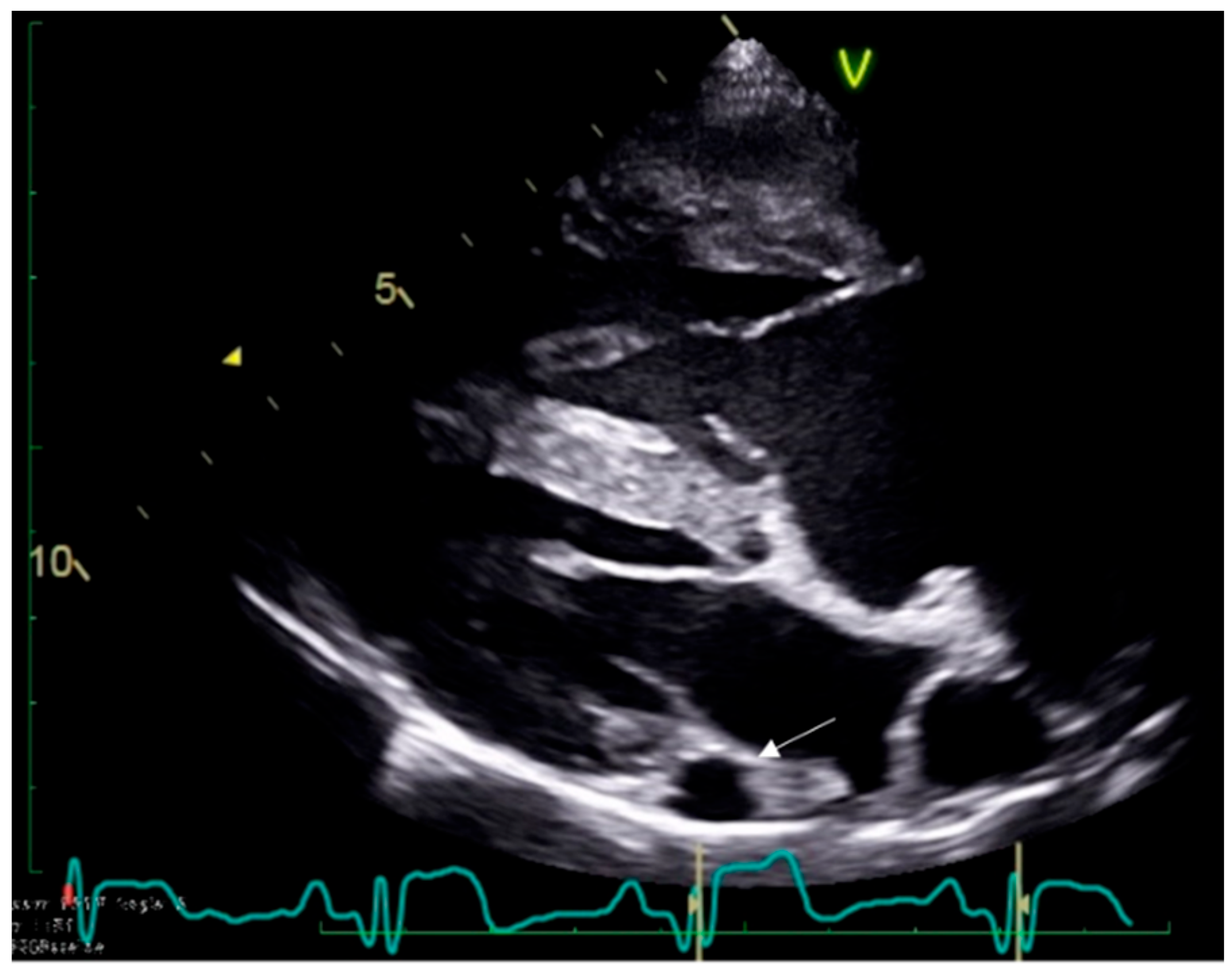 Vetsci 09 00359 g002