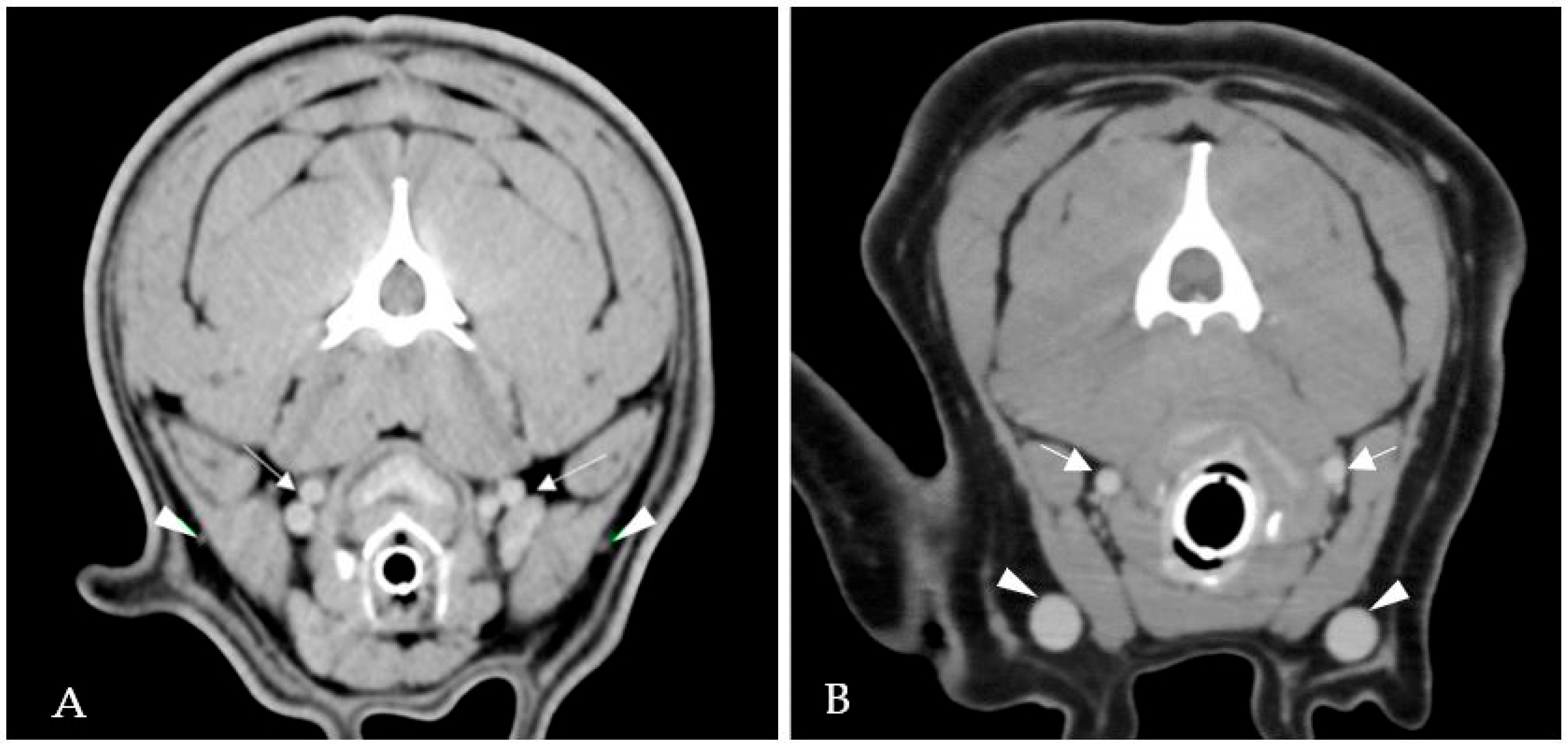 Vetsci 09 00359 g004