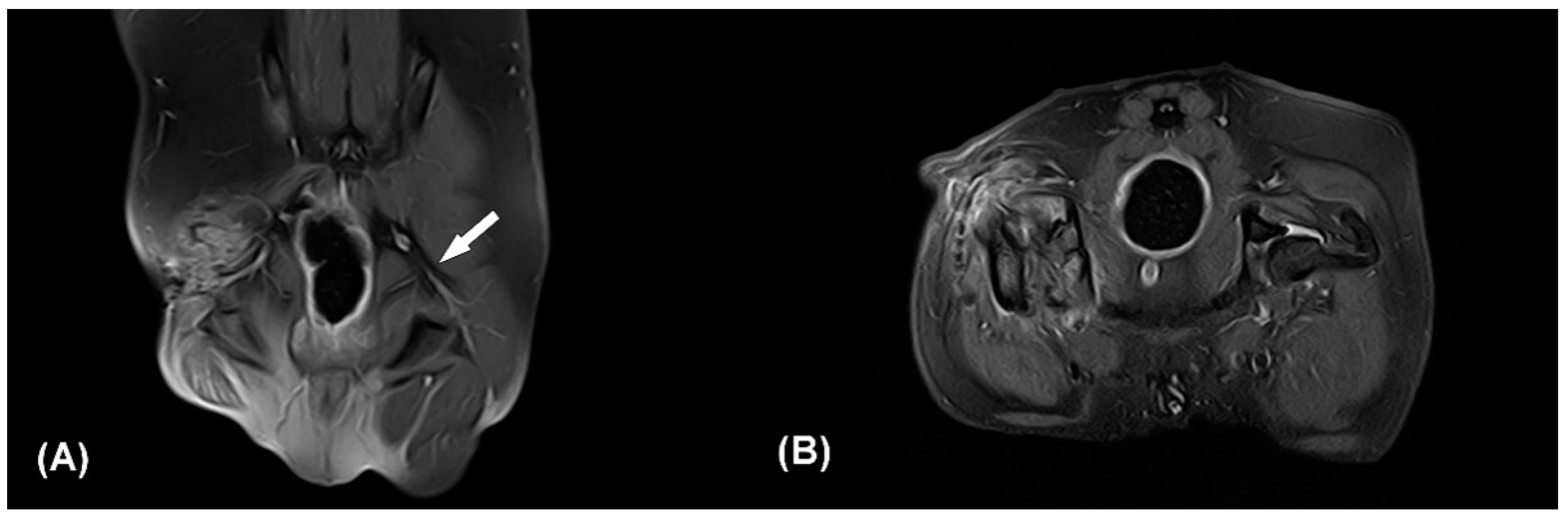 Vetsci 09 00361 g002