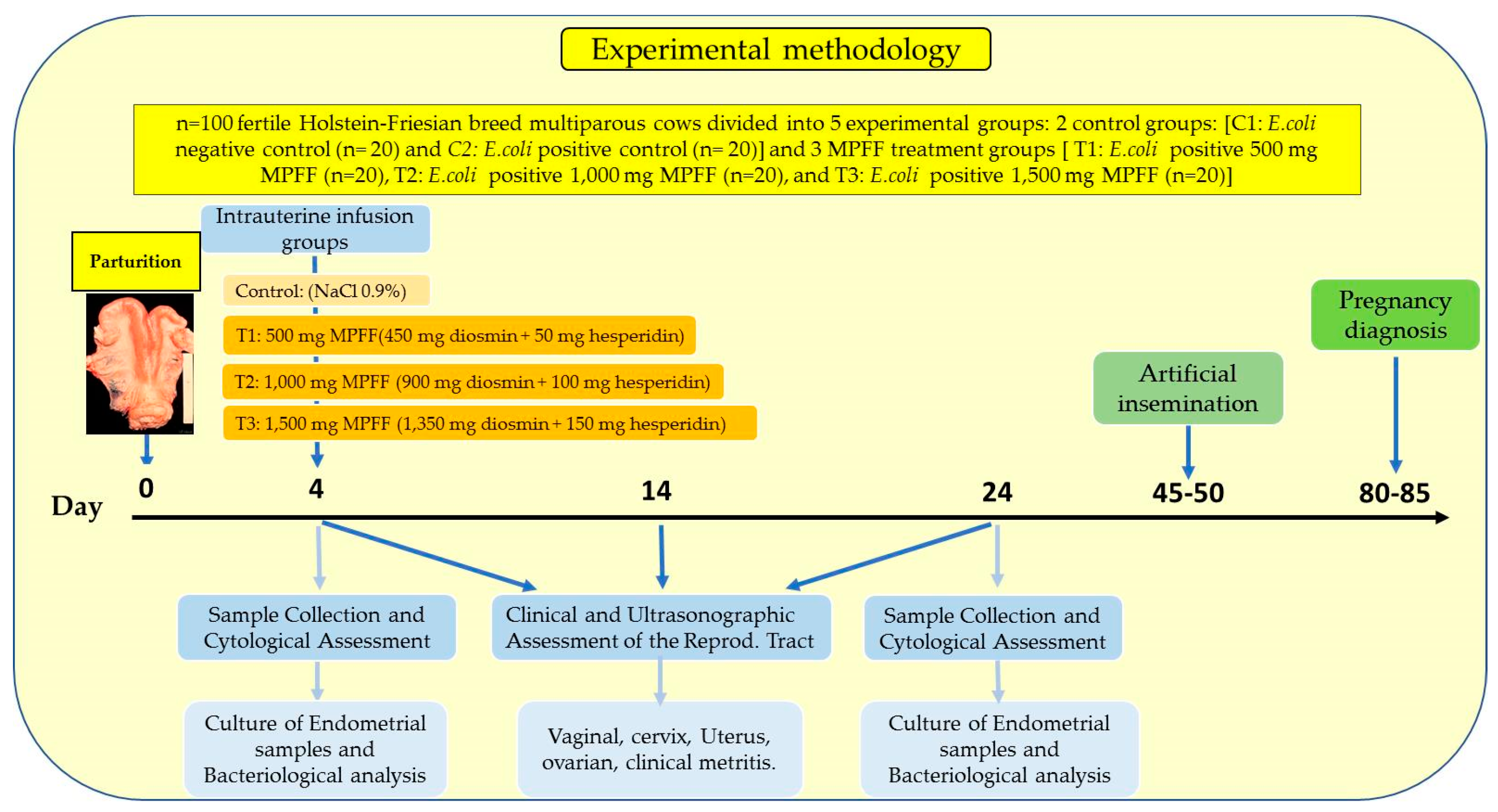 Vetsci 09 00362 g001