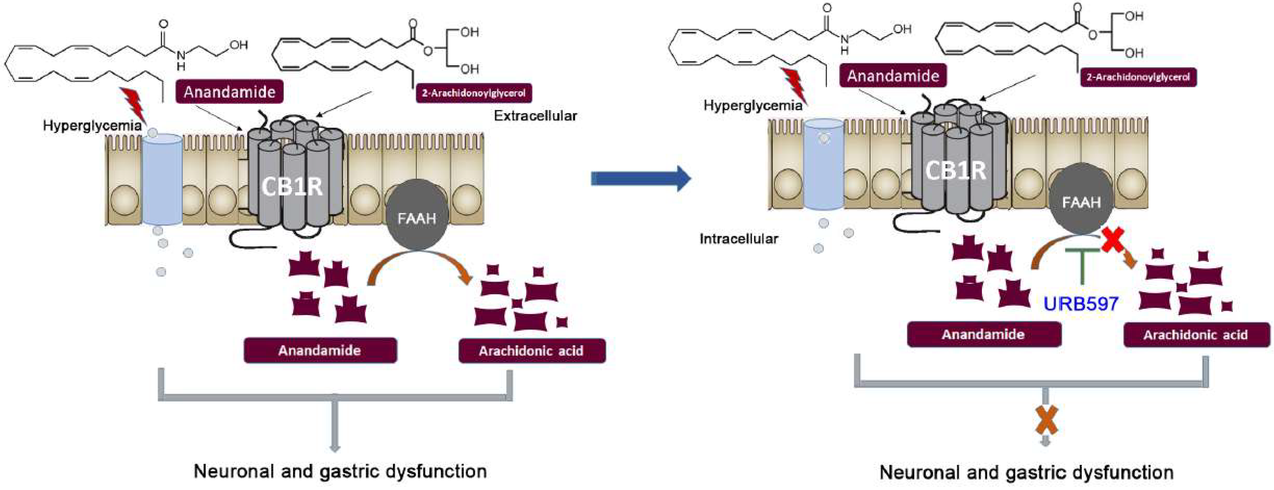 Vetsci 09 00364 g003 550