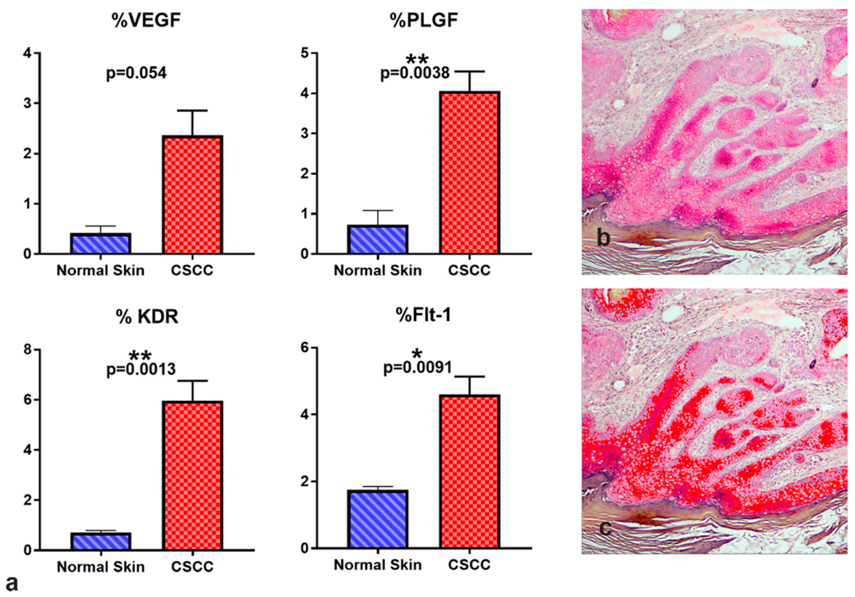 Vetsci 09 00375 g007