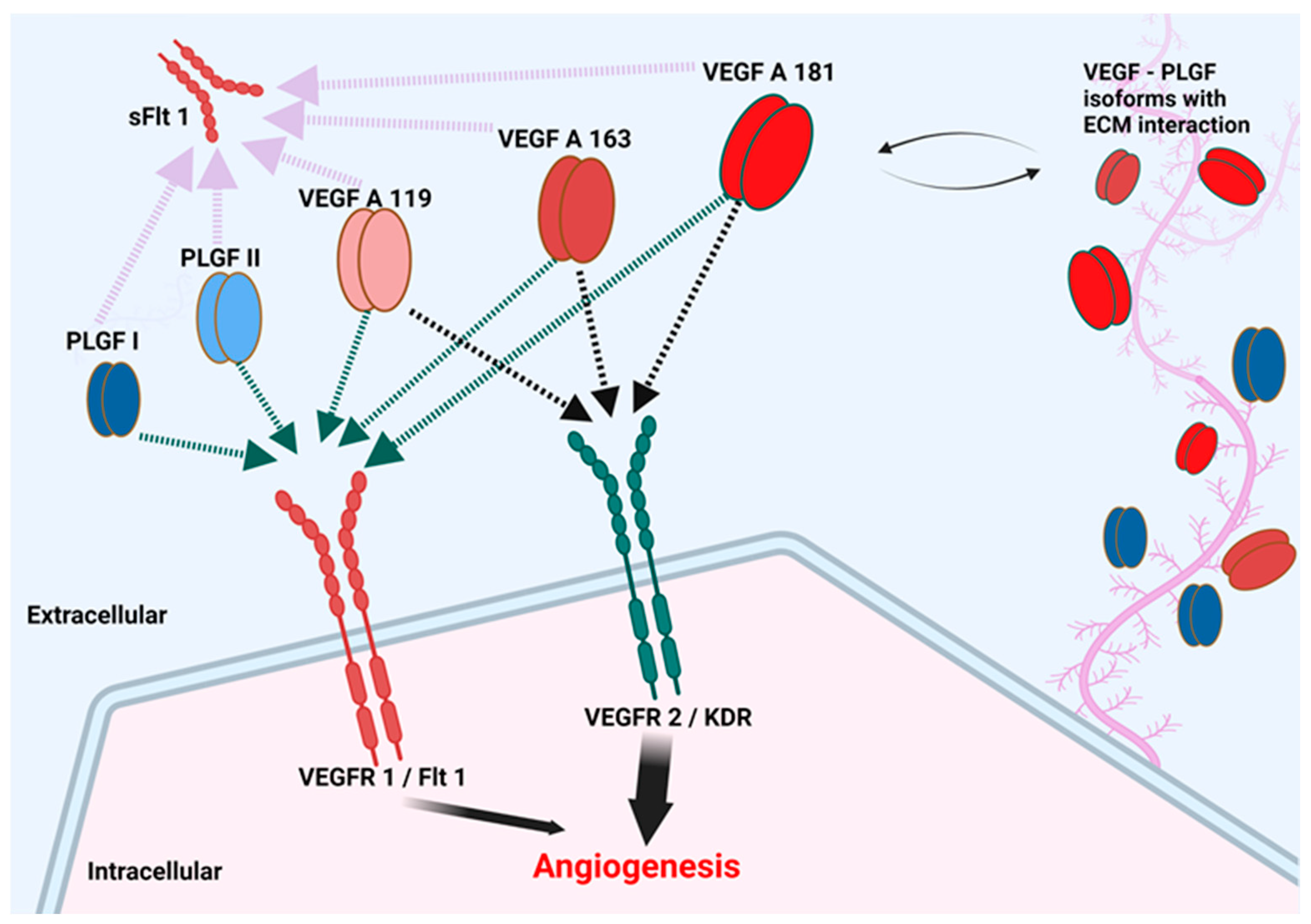 Vetsci 09 00375 g008