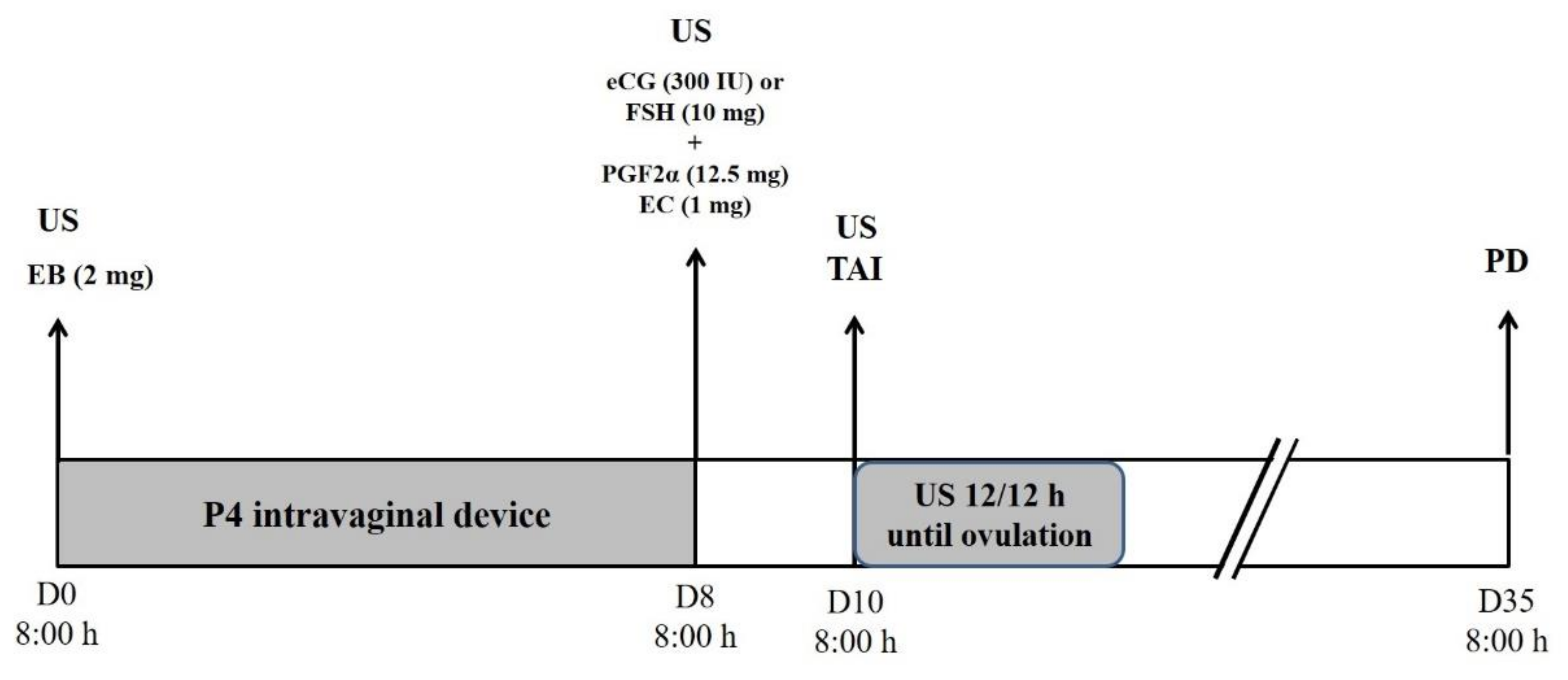 Vetsci 09 00377 g001 Vetsci 09 00377 g001