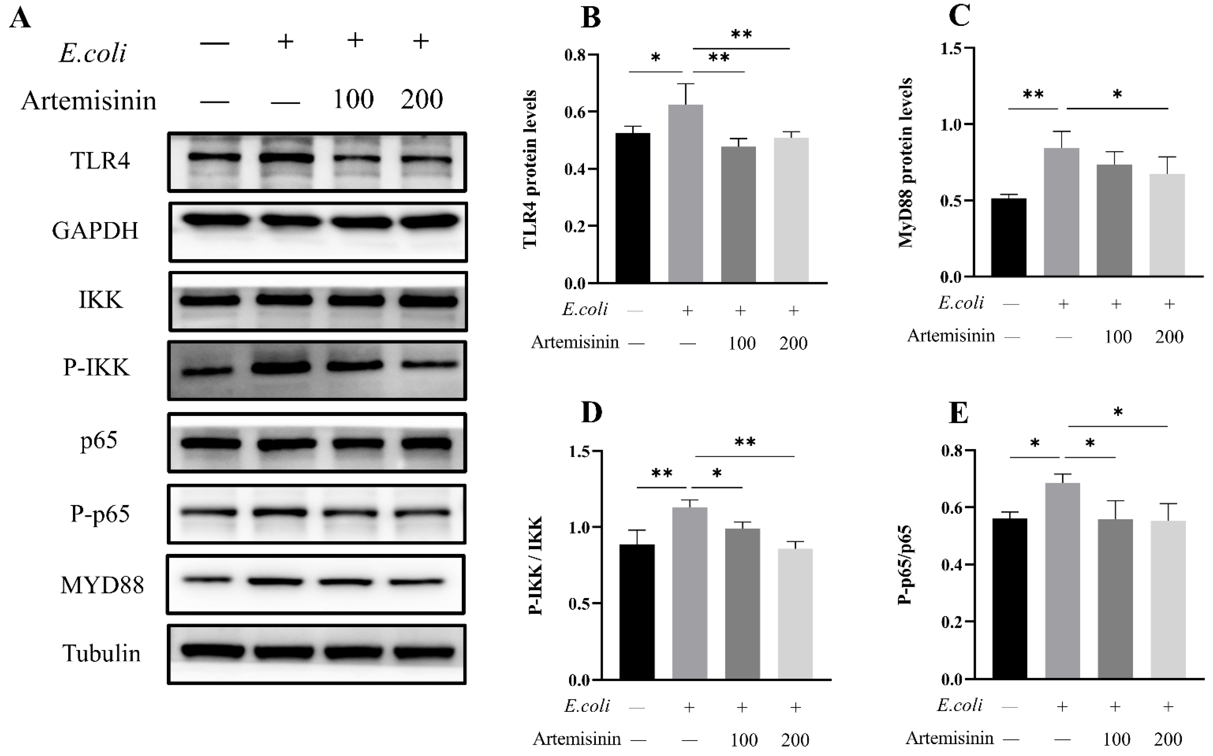 Vetsci 09 00381 g002