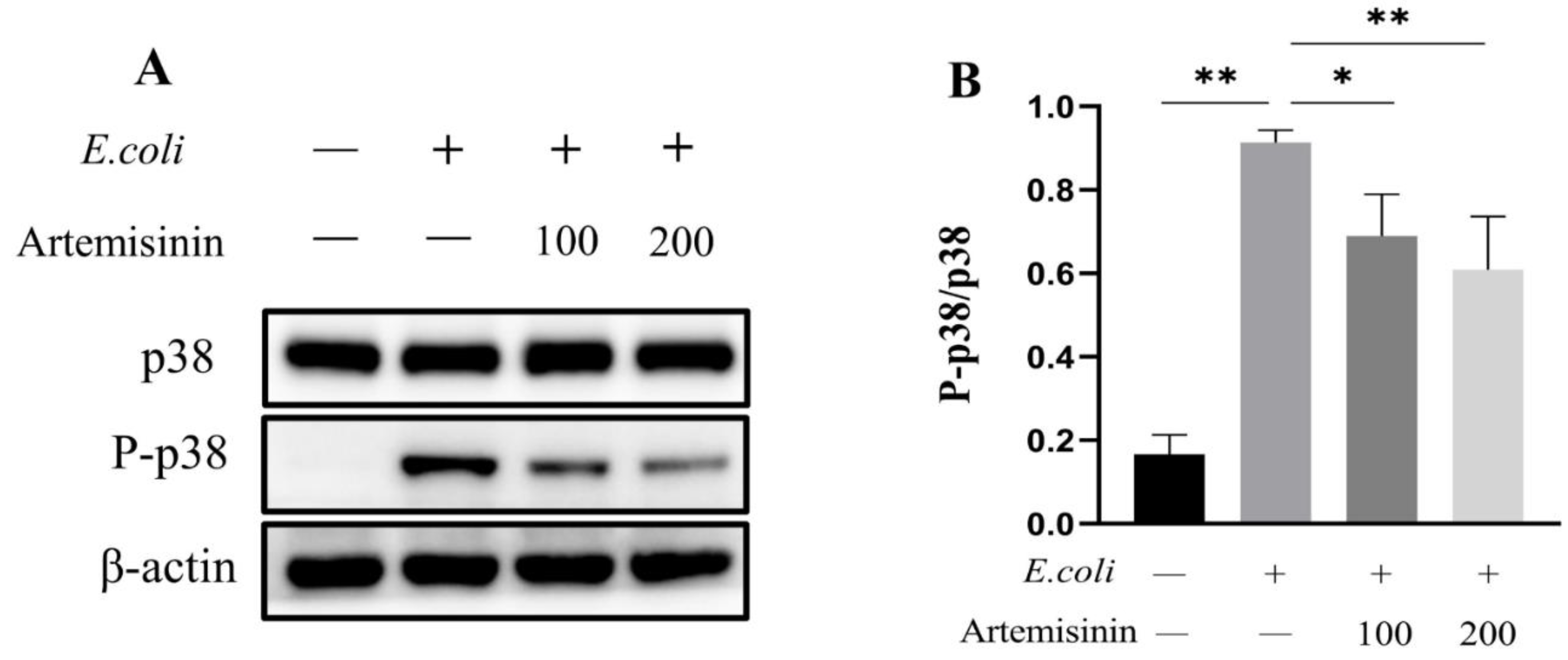 Vetsci 09 00381 g003