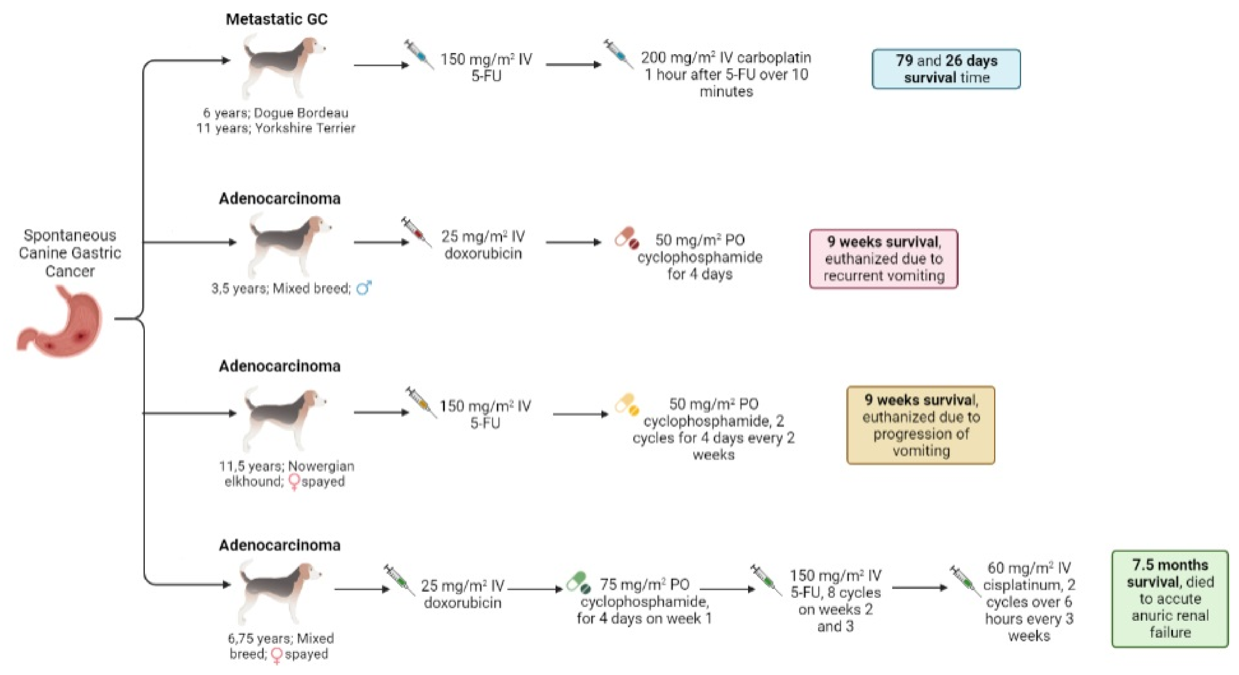 Vetsci 09 00383 g003