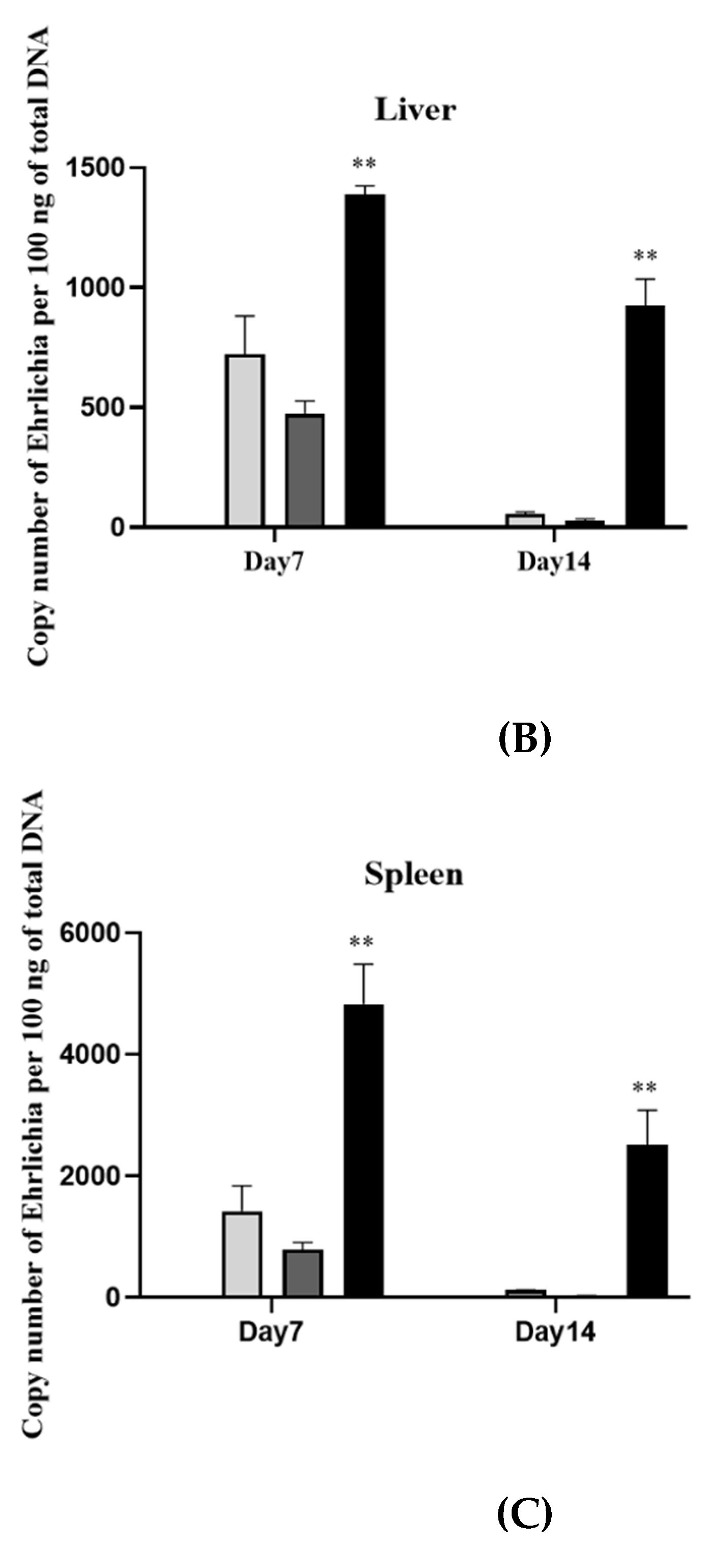 Vetsci 09 00386 g003b Vetsci 09 00386 g003b