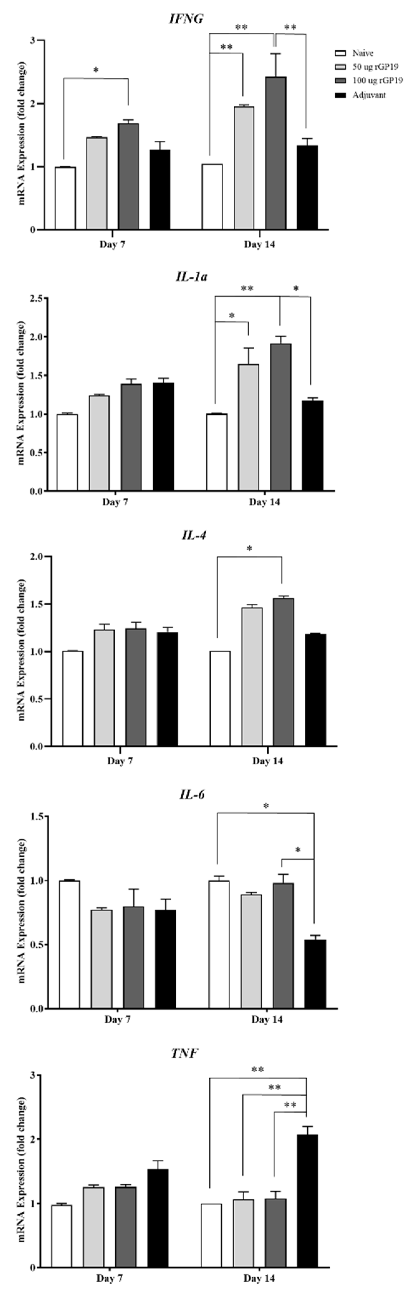 Vetsci 09 00386 g004 Vetsci 09 00386 g004