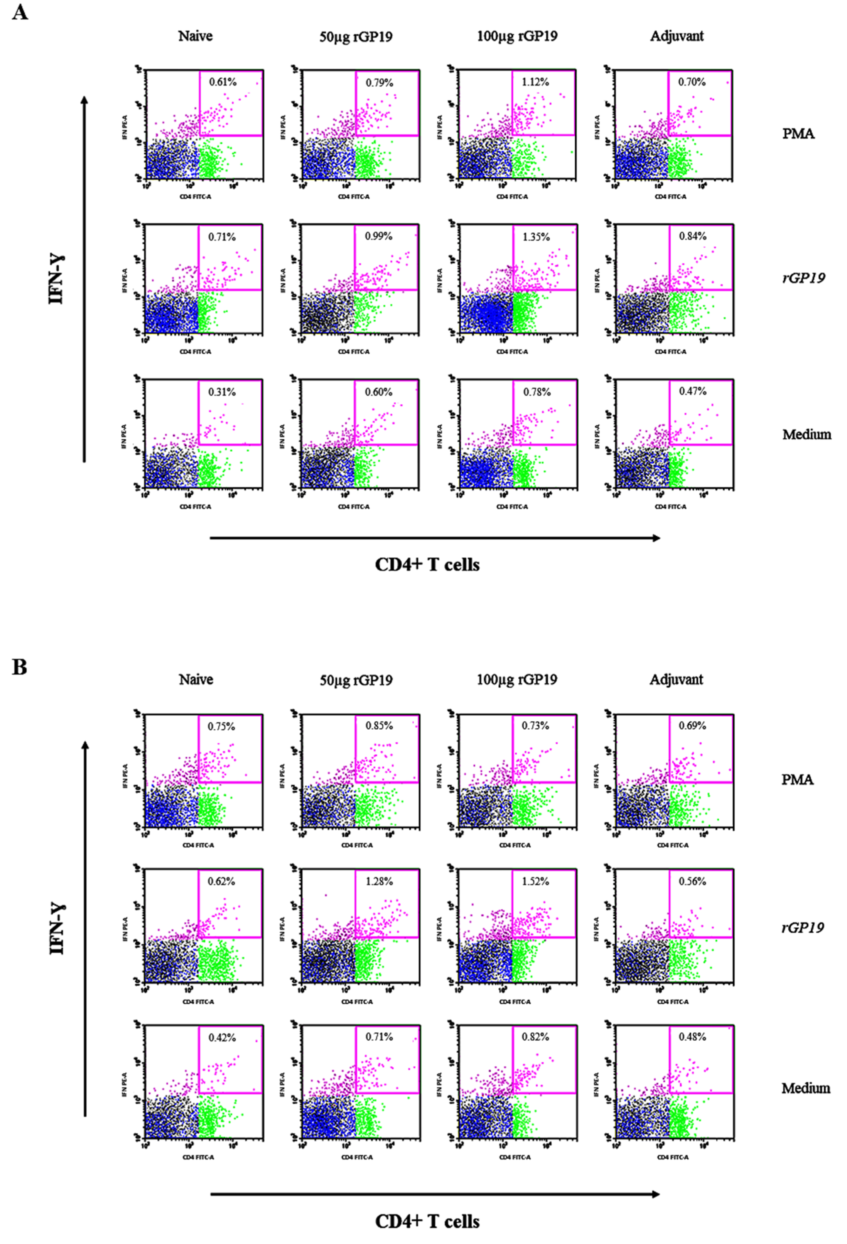 Vetsci 09 00386 g005 Vetsci 09 00386 g005