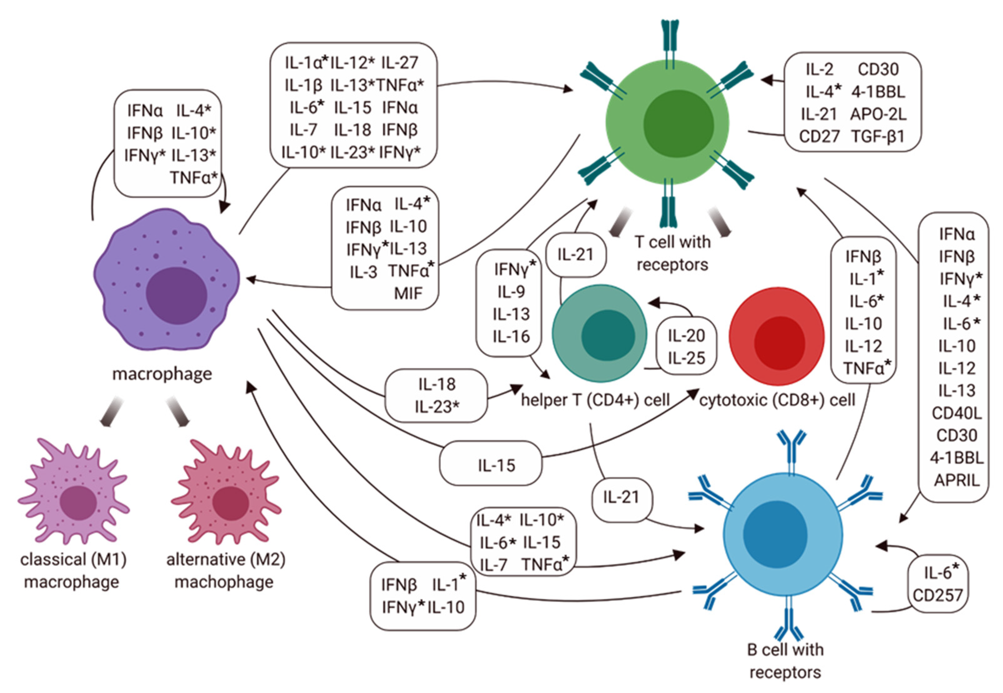 Vetsci 09 00386 g007 Vetsci 09 00386 g007