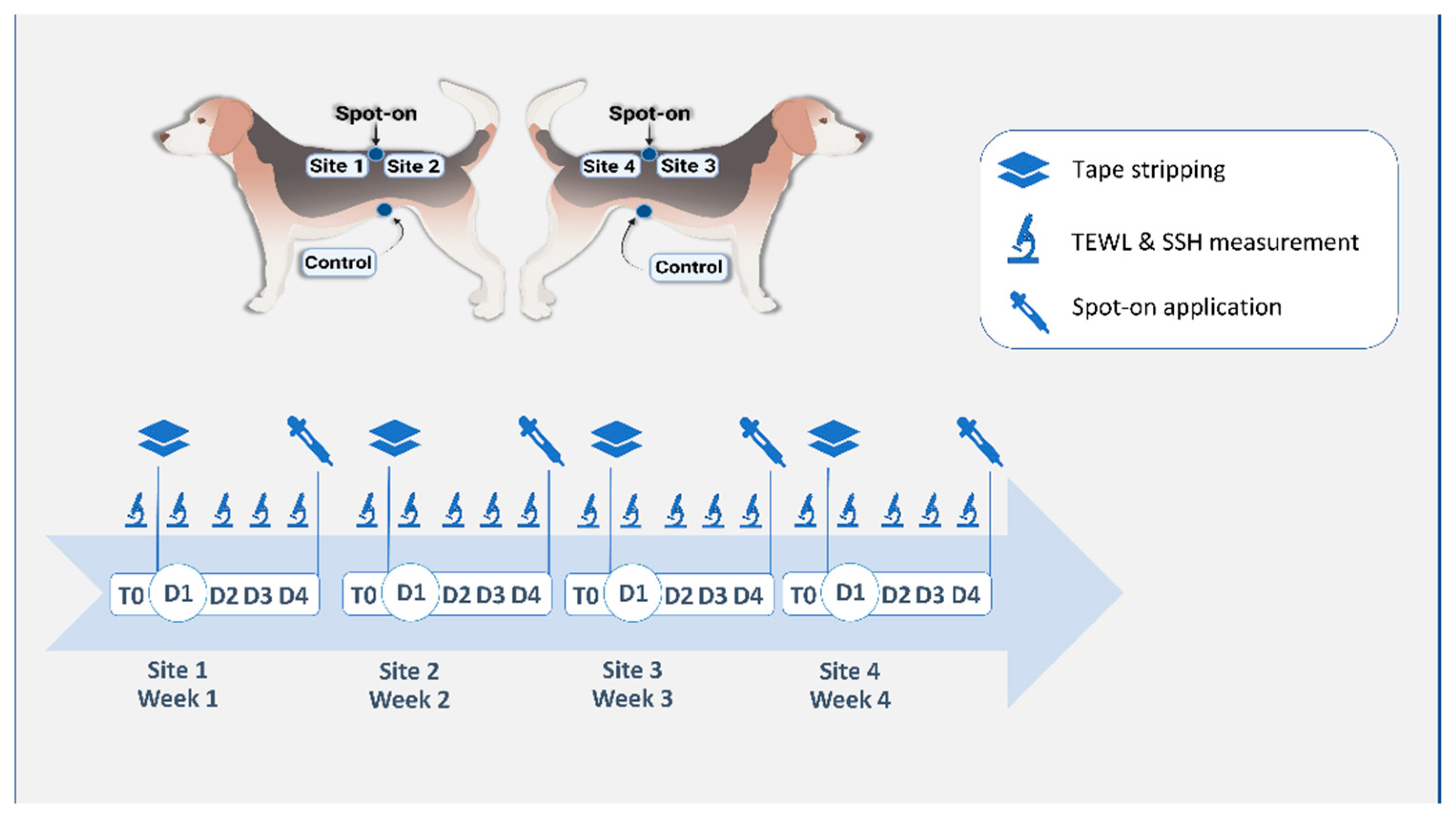 Veterinary Sciences Free FullText Skin Barrier Reinforcement