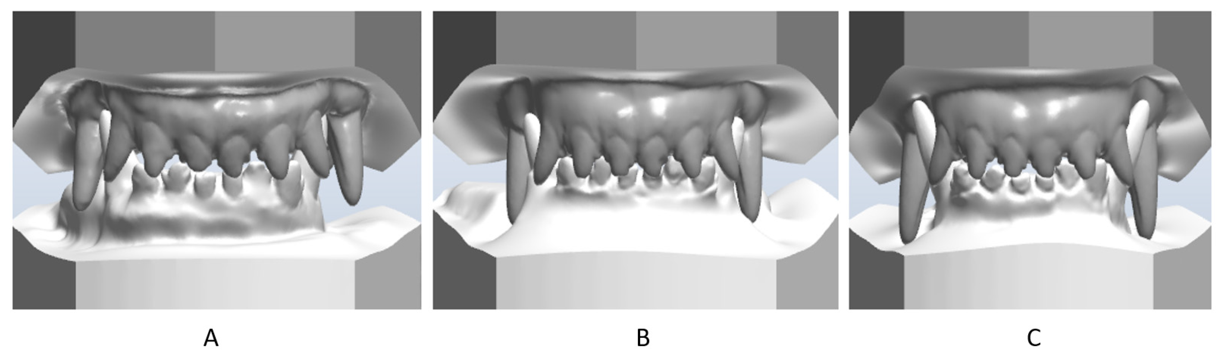 Vetsci 09 00392 g004 550