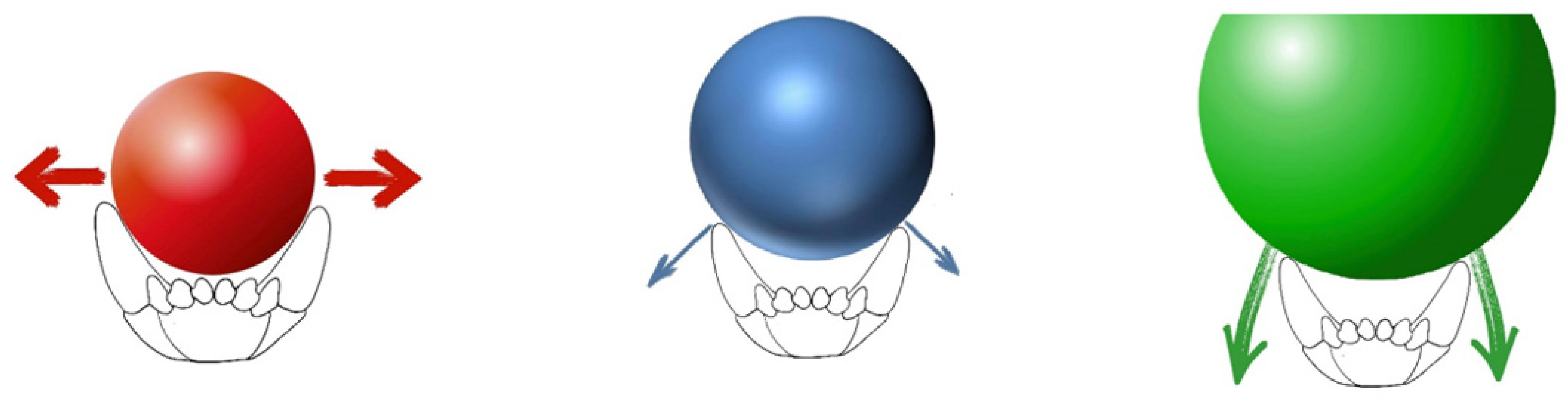 Vetsci 09 00392 g012 550