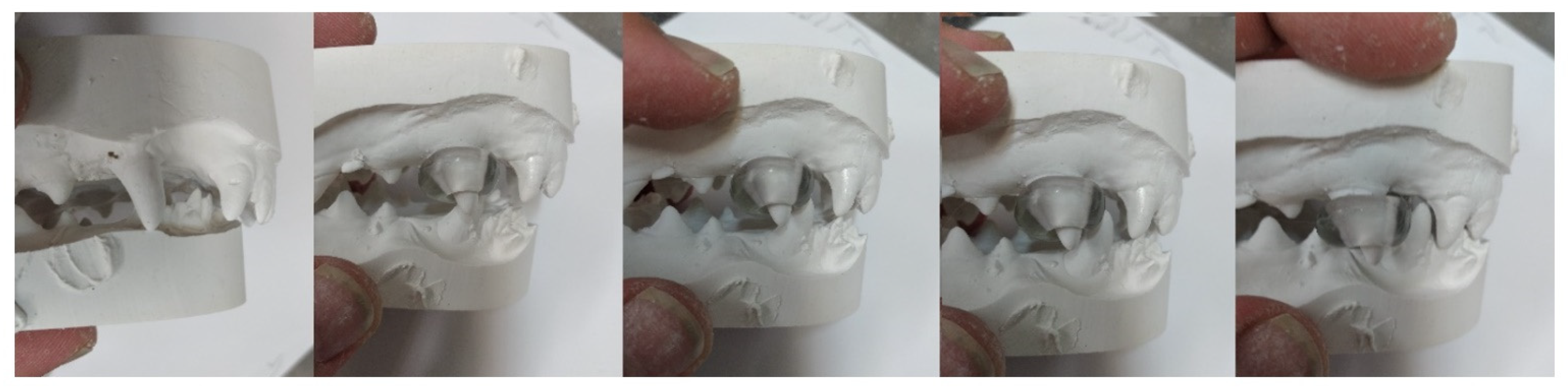 Vetsci 09 00392 g016 550