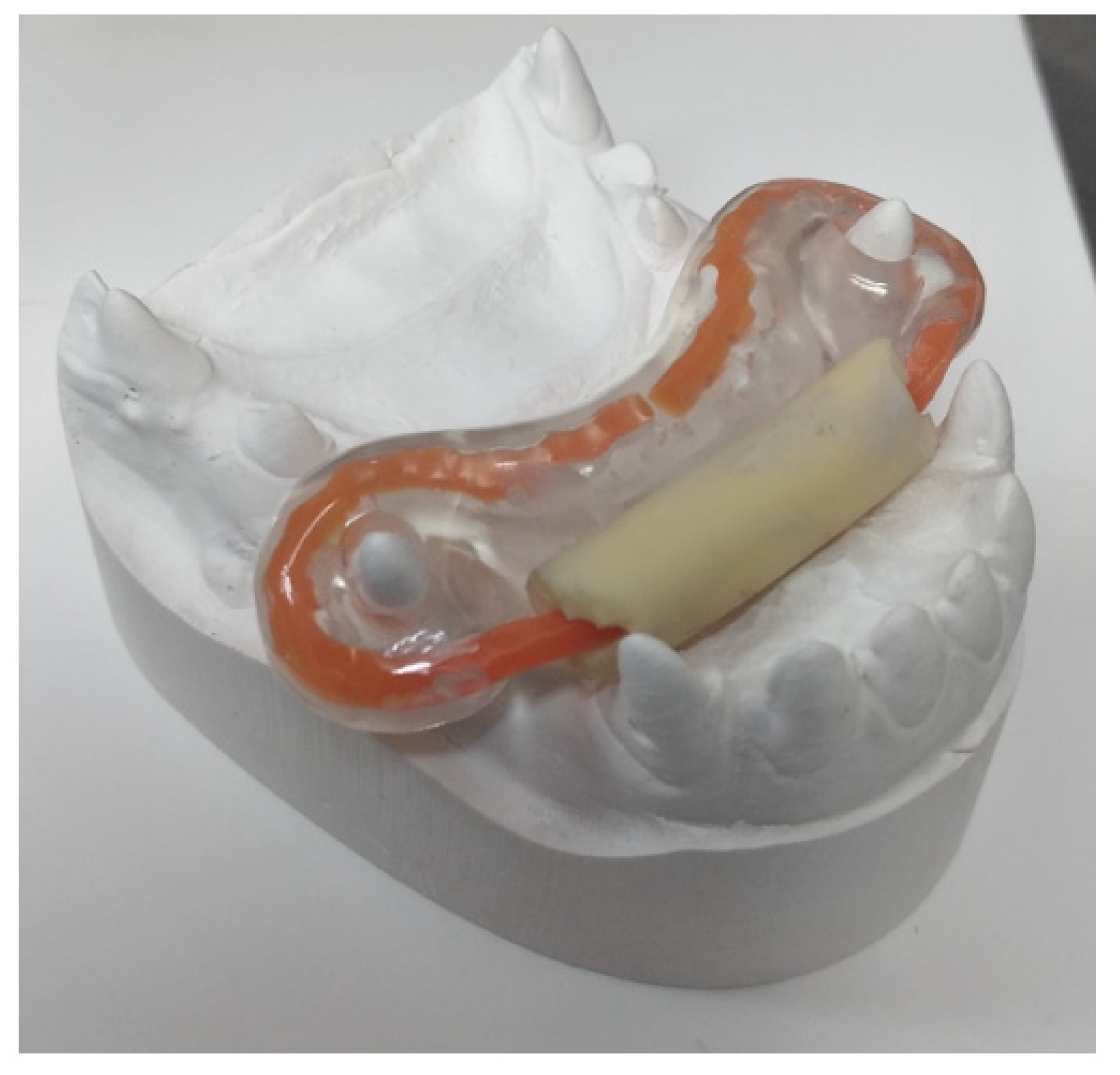 Vetsci 09 00392 g017 550