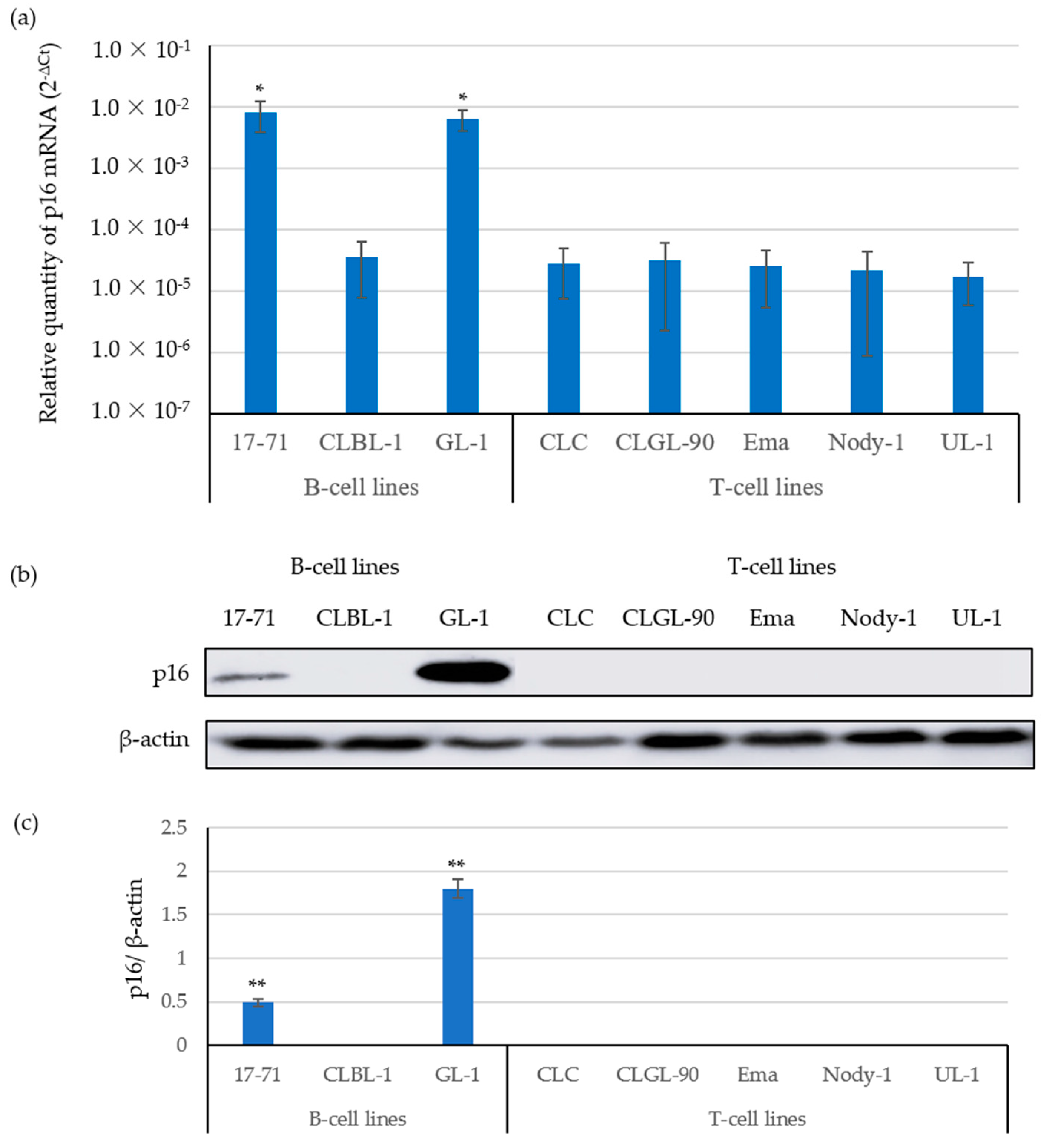 Vetsci 09 00393 g001 550