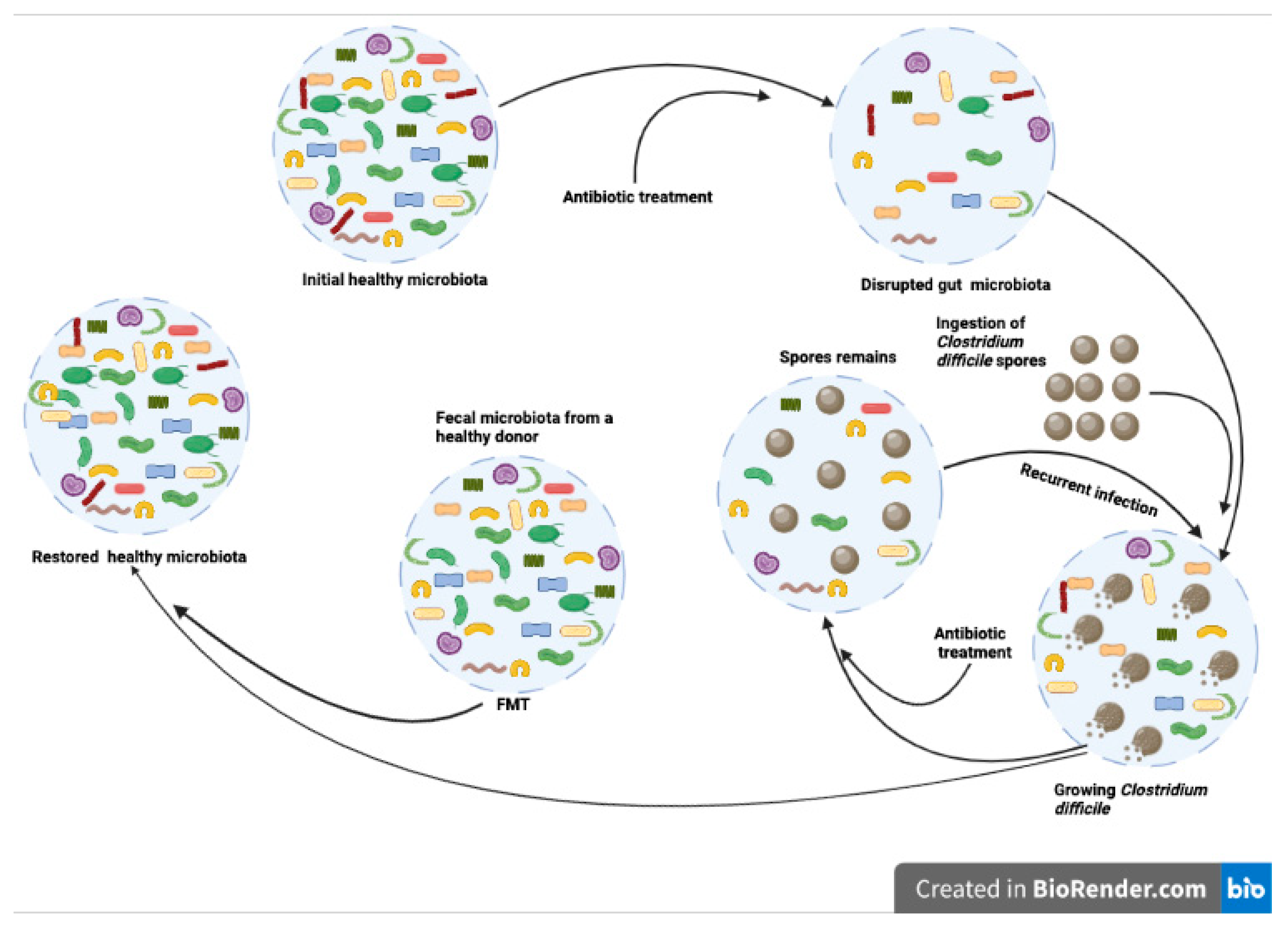 Vetsci 09 00396 g006