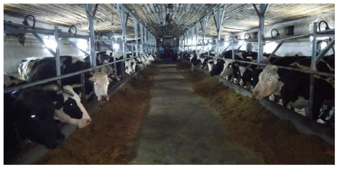 Vetsci 09 00398 g001 Vetsci 09 00398 g001