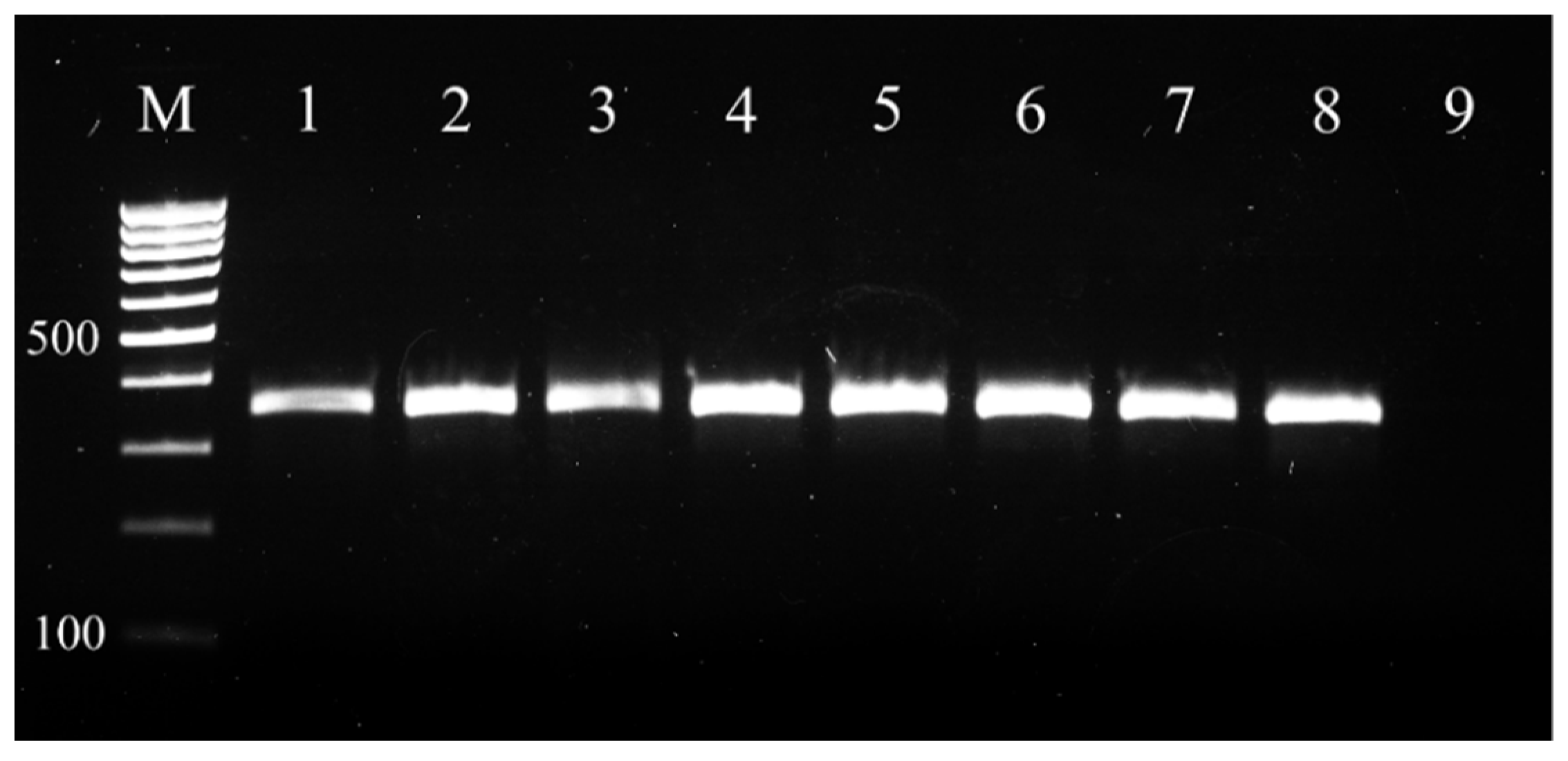 Vetsci 09 00401 g001