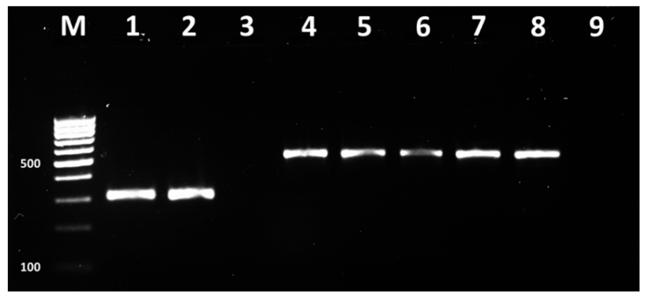 Vetsci 09 00401 g003